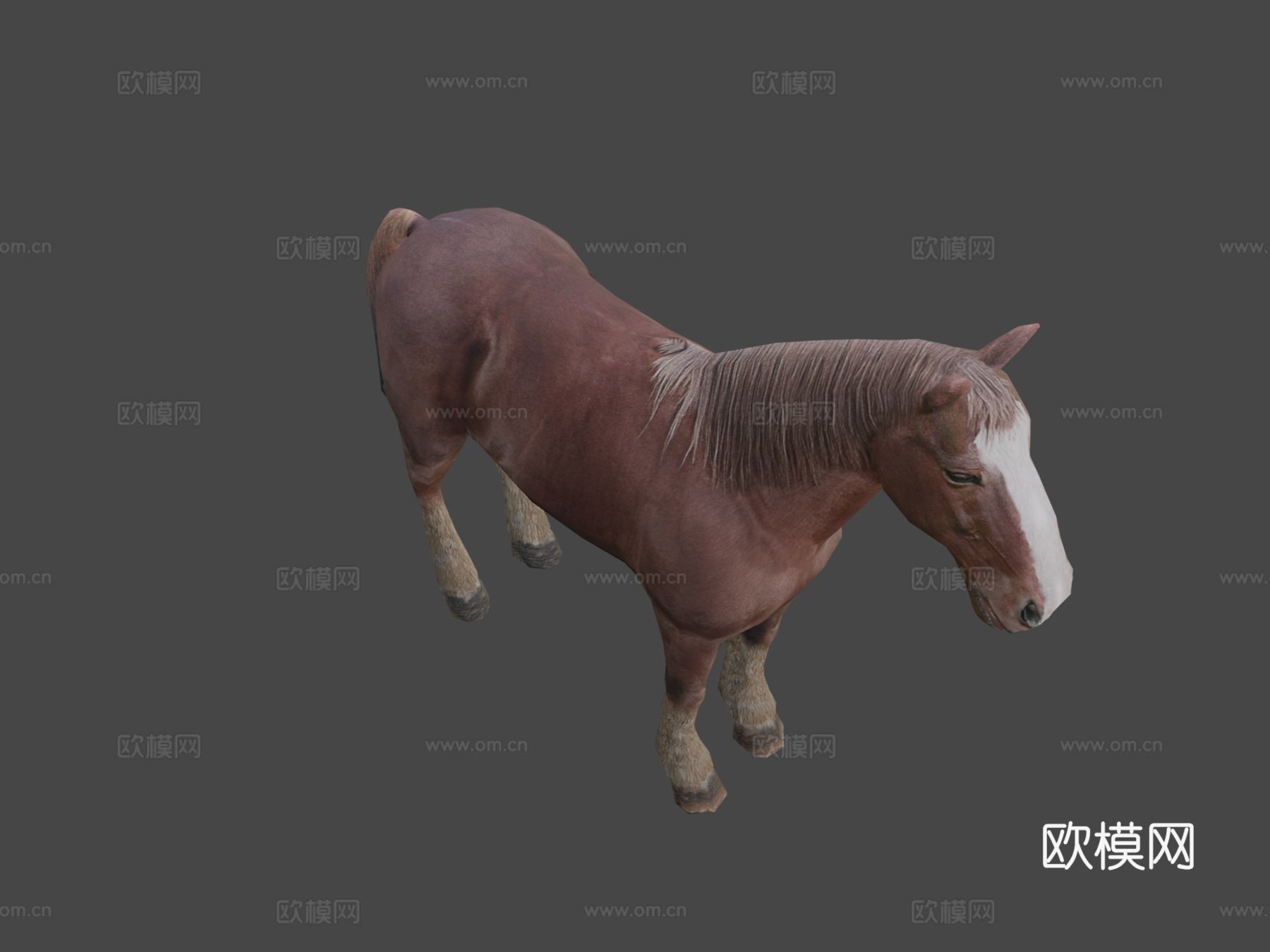 DRT-家养动物-马3d模型