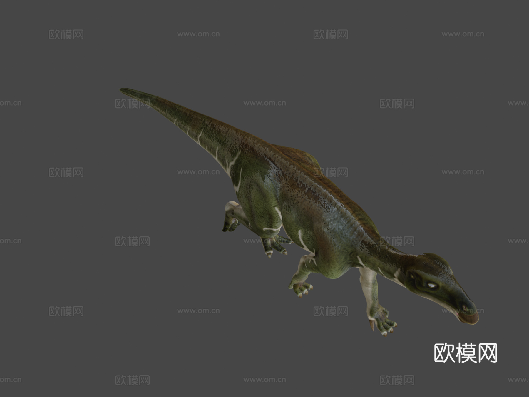 贝尔尼萨特禽龙3d模型