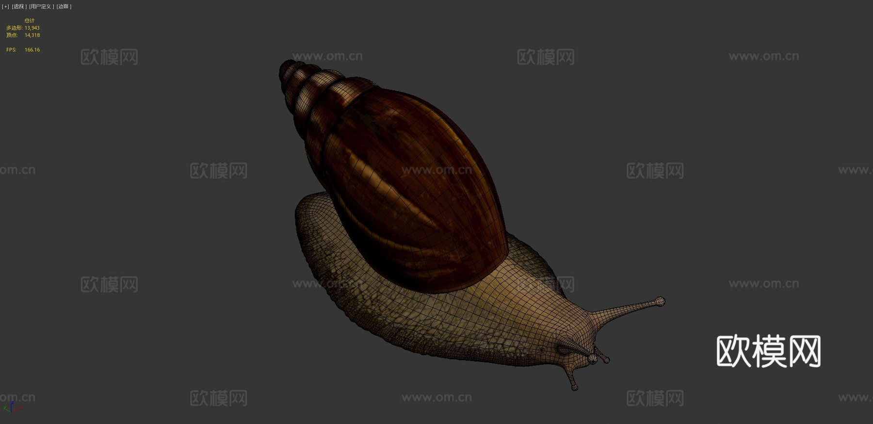 蜗牛照片级写实3d模型