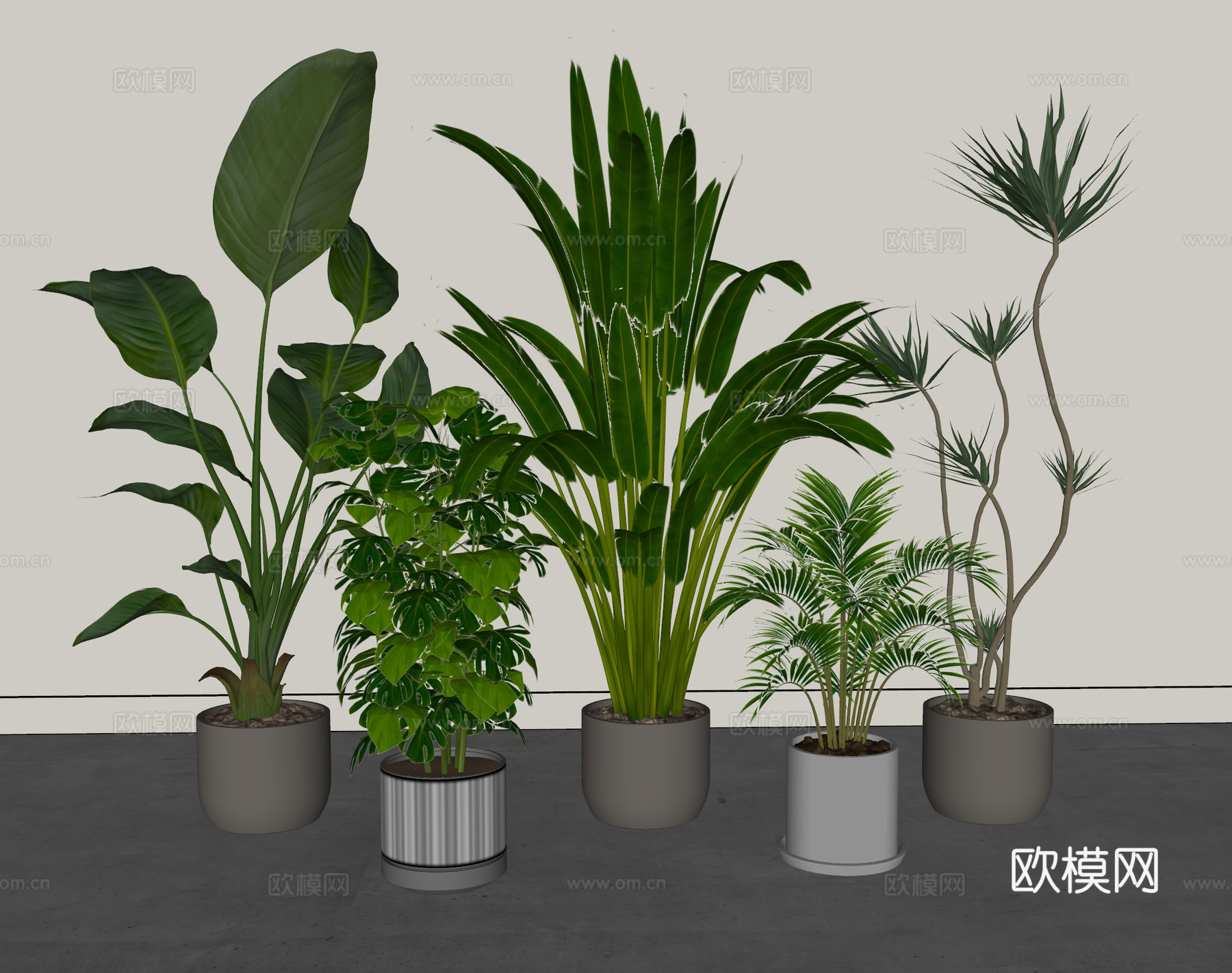现代植物 盆栽 盆景 绿植 龙血树 千年木 天堂鸟 芭蕉树su模型