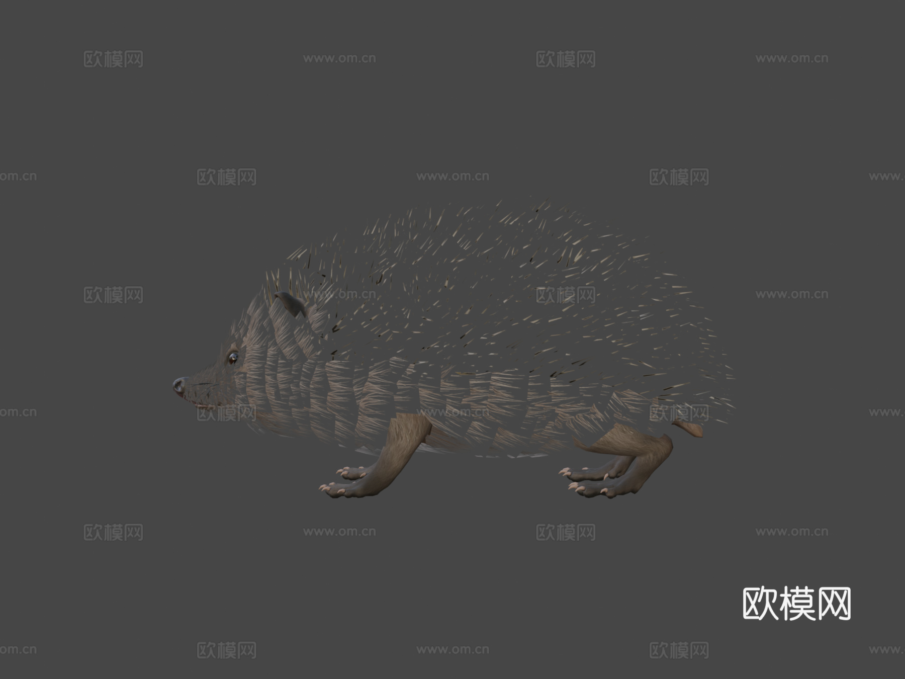 刺猬3d模型