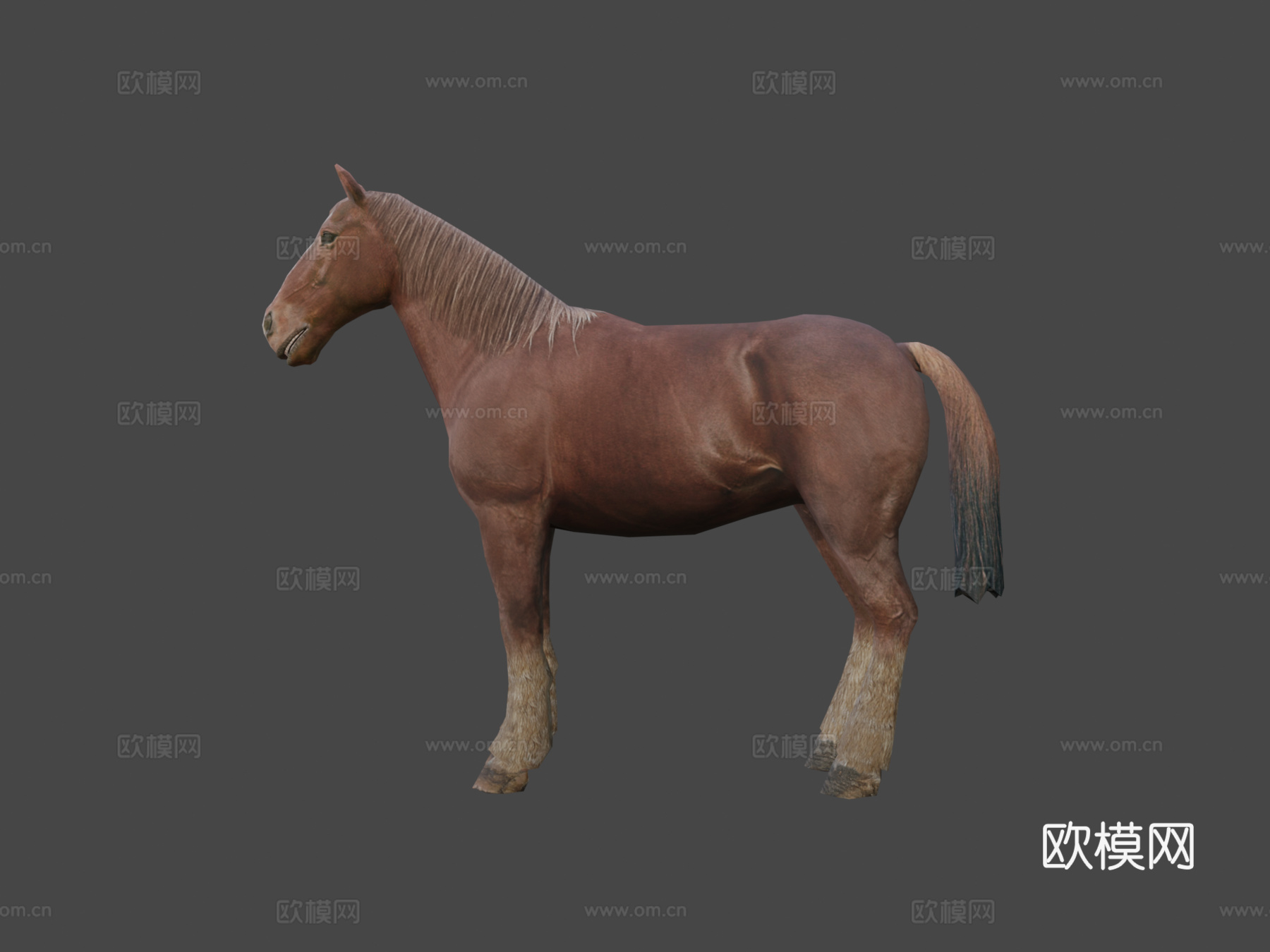 DRT-家养动物-马3d模型