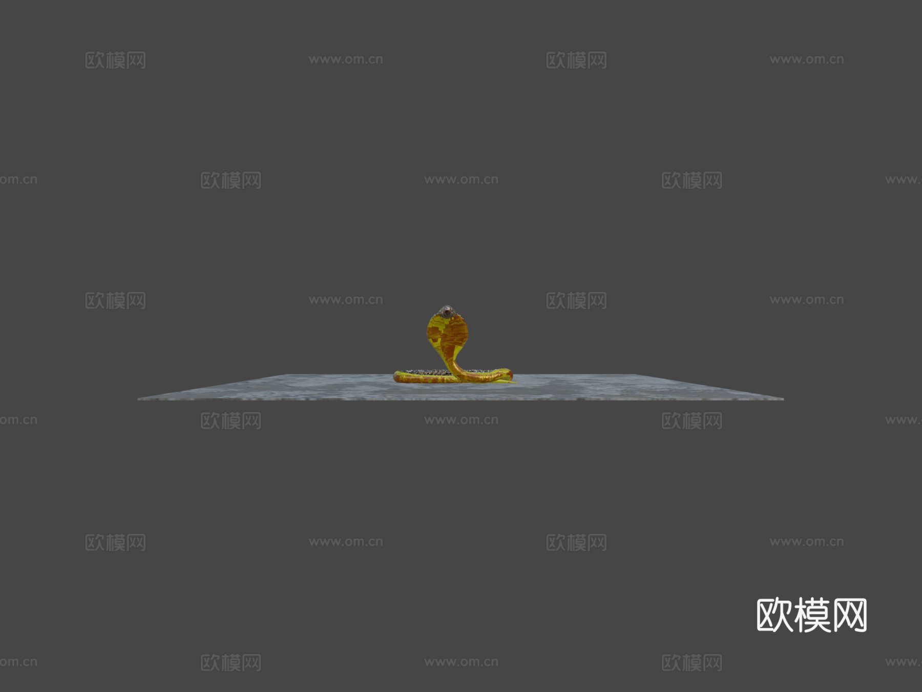 眼镜王蛇3d模型