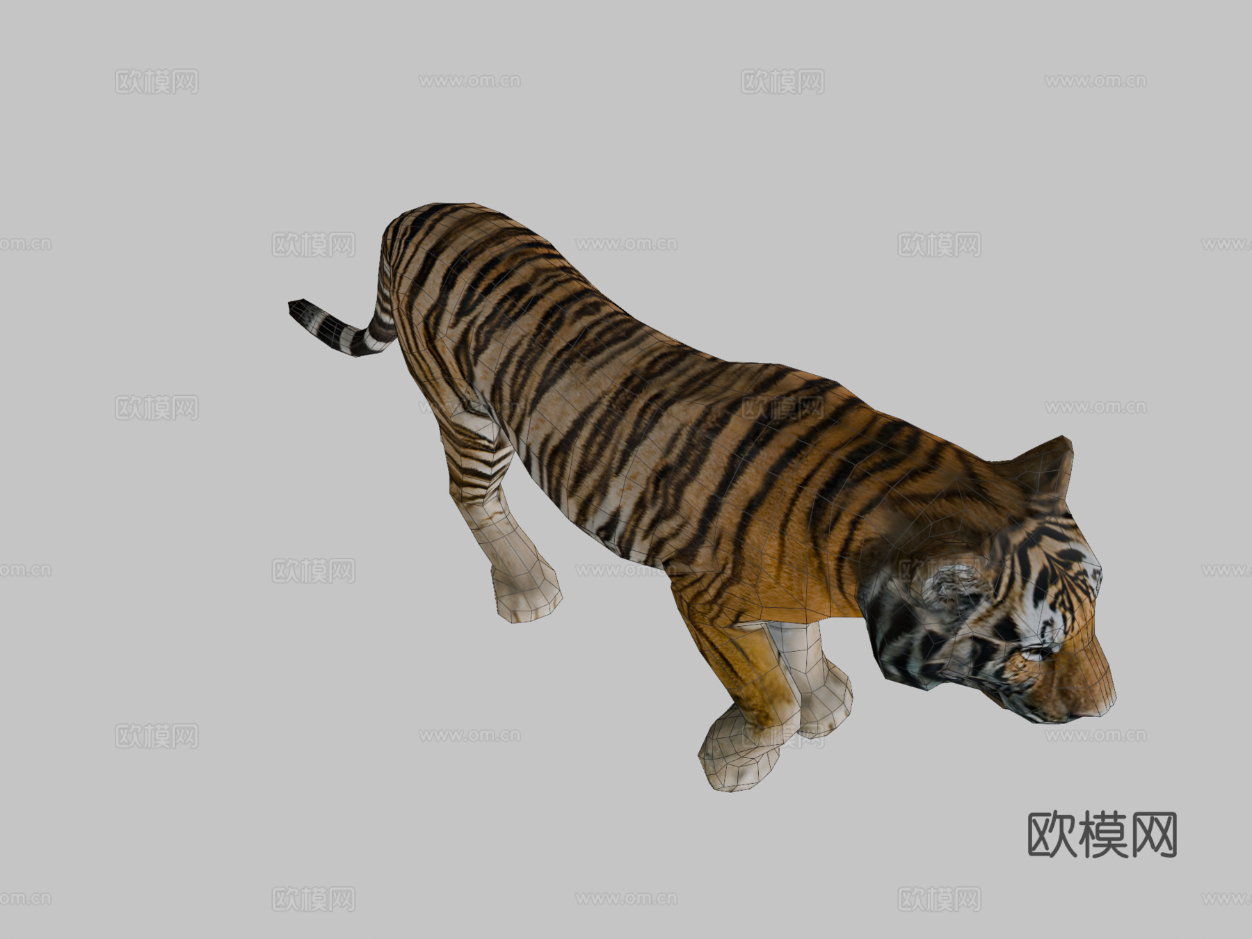 老虎3d模型