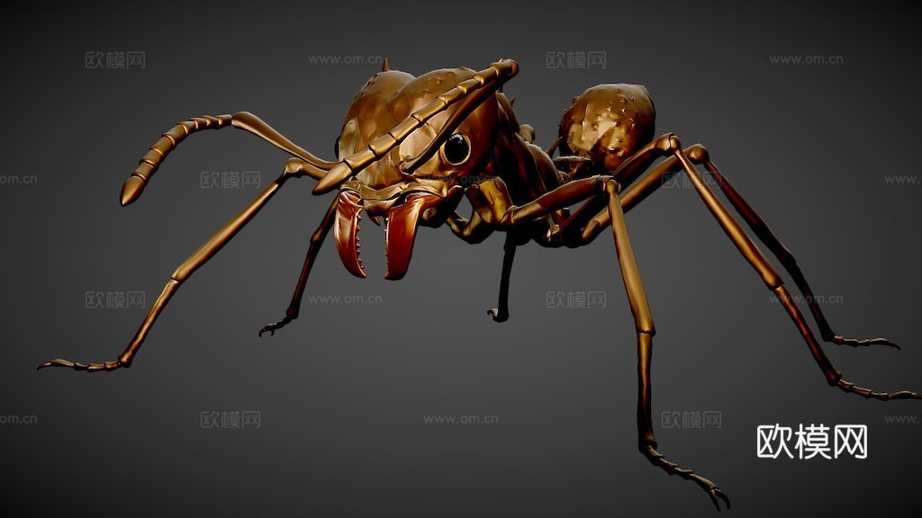 切叶蚁昆虫3d模型3d模型