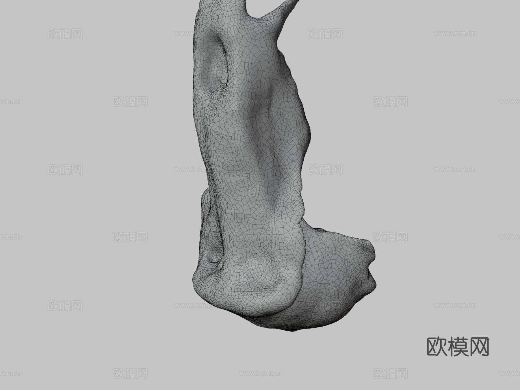 狒狒头骨3d模型