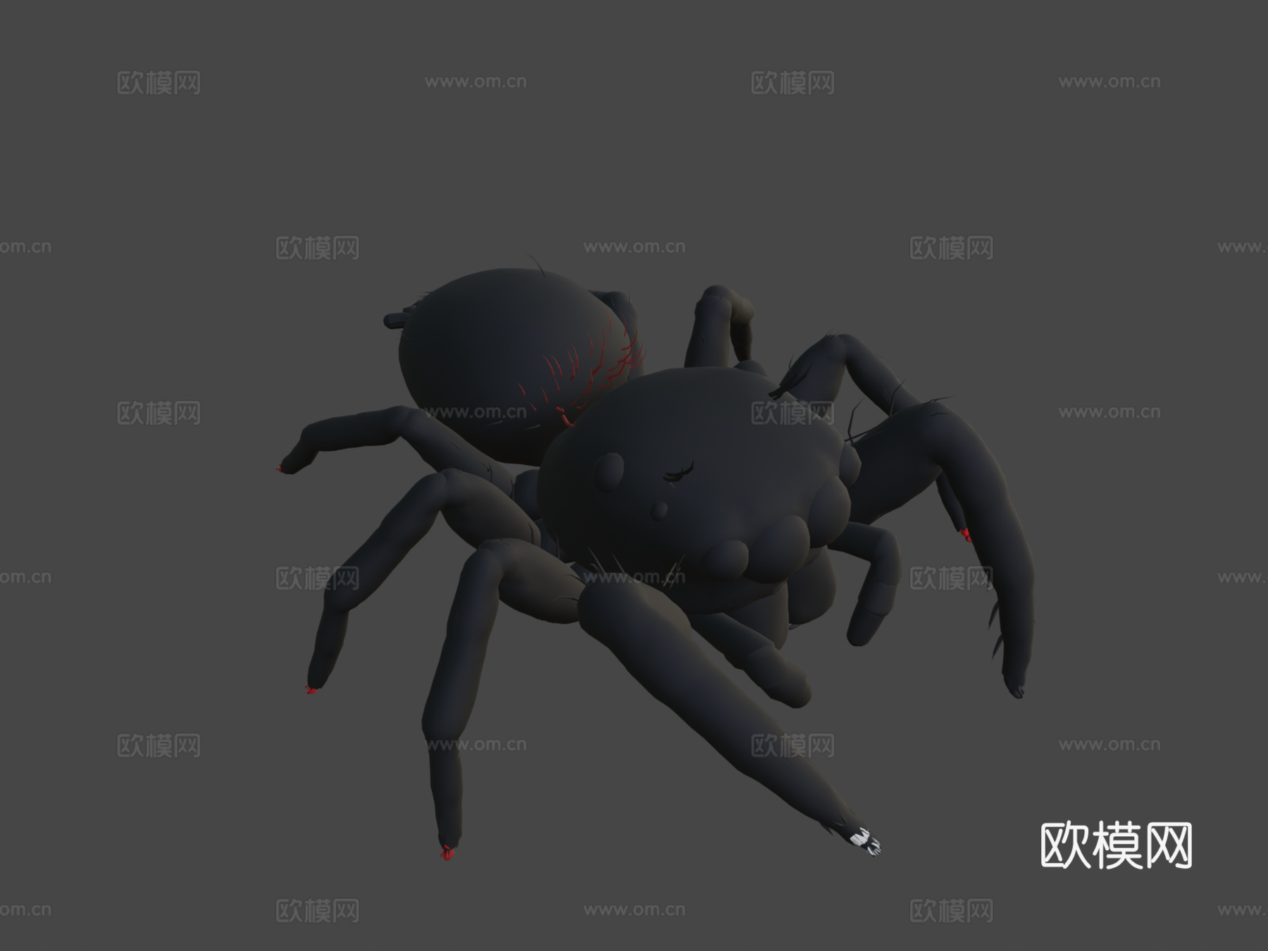 跳蛛3d模型