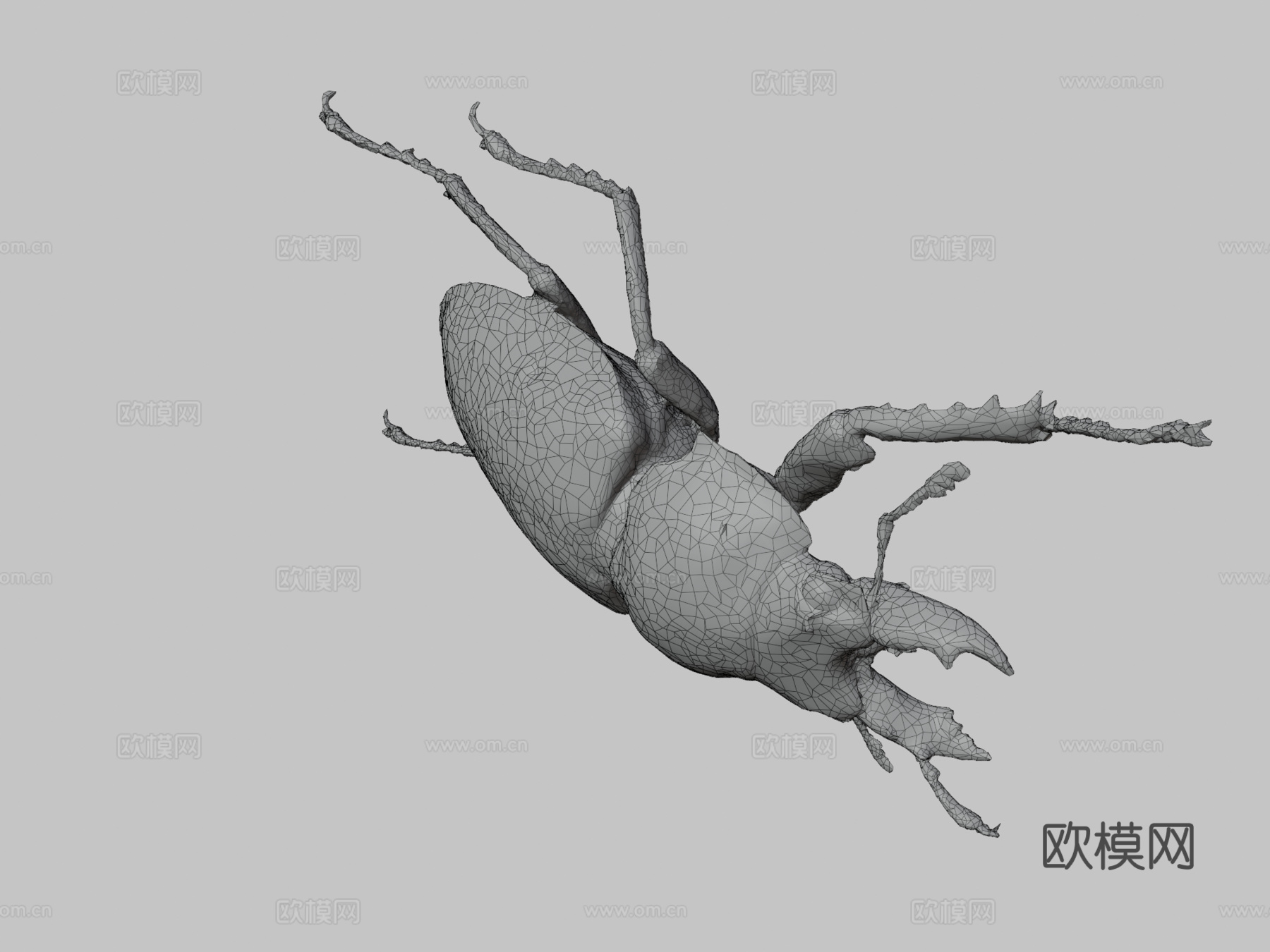锹形虫3d模型