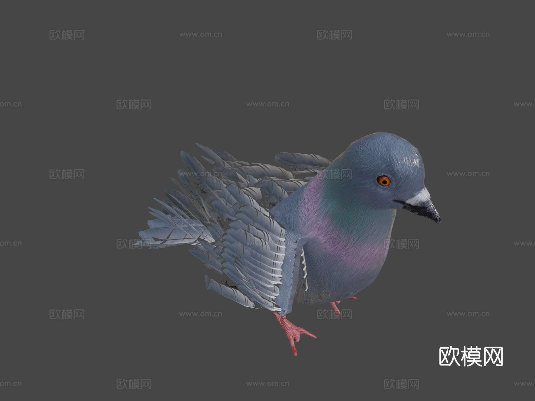 鸽子3d模型
