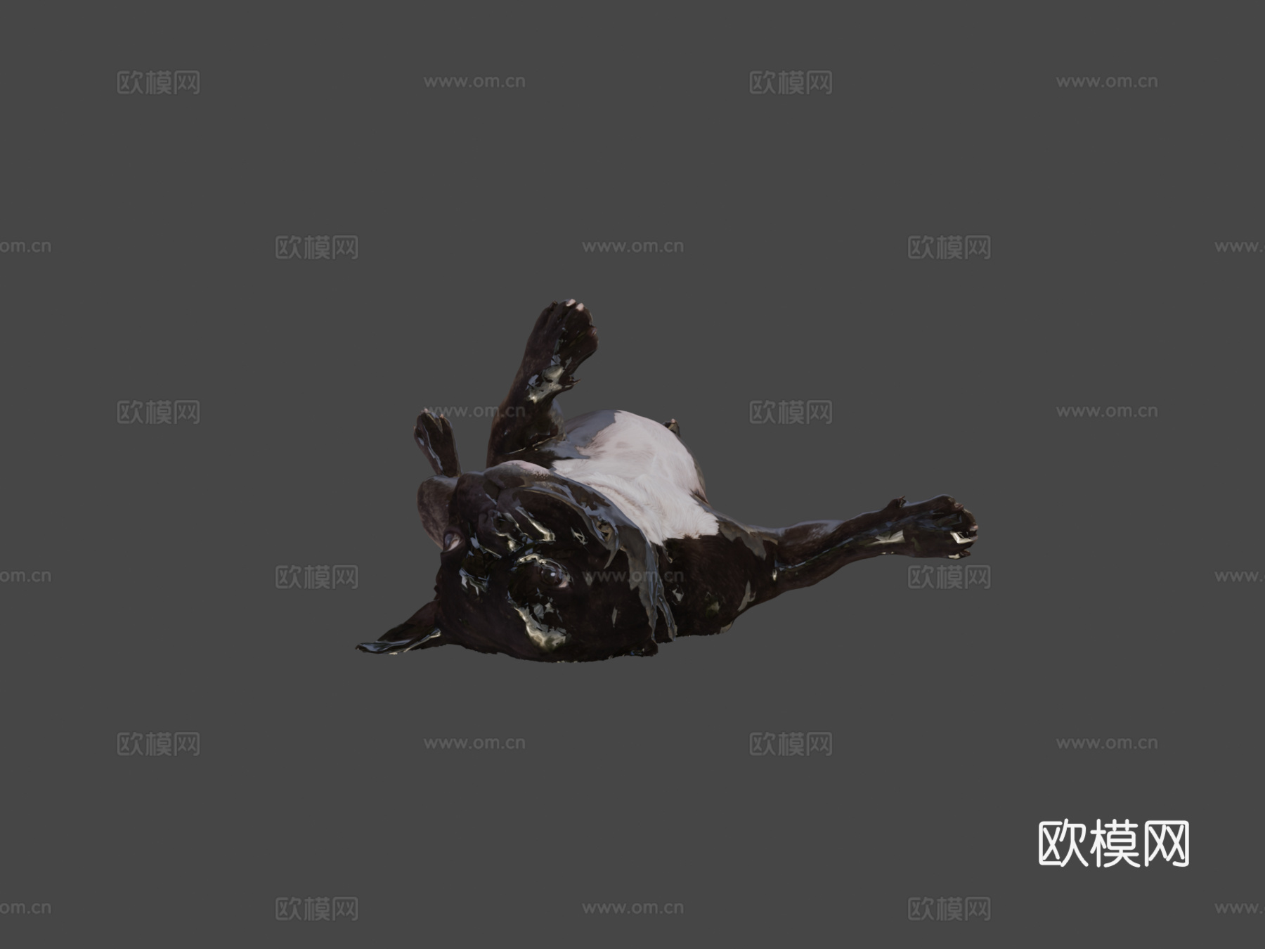 狗B-113-斗牛犬3d模型