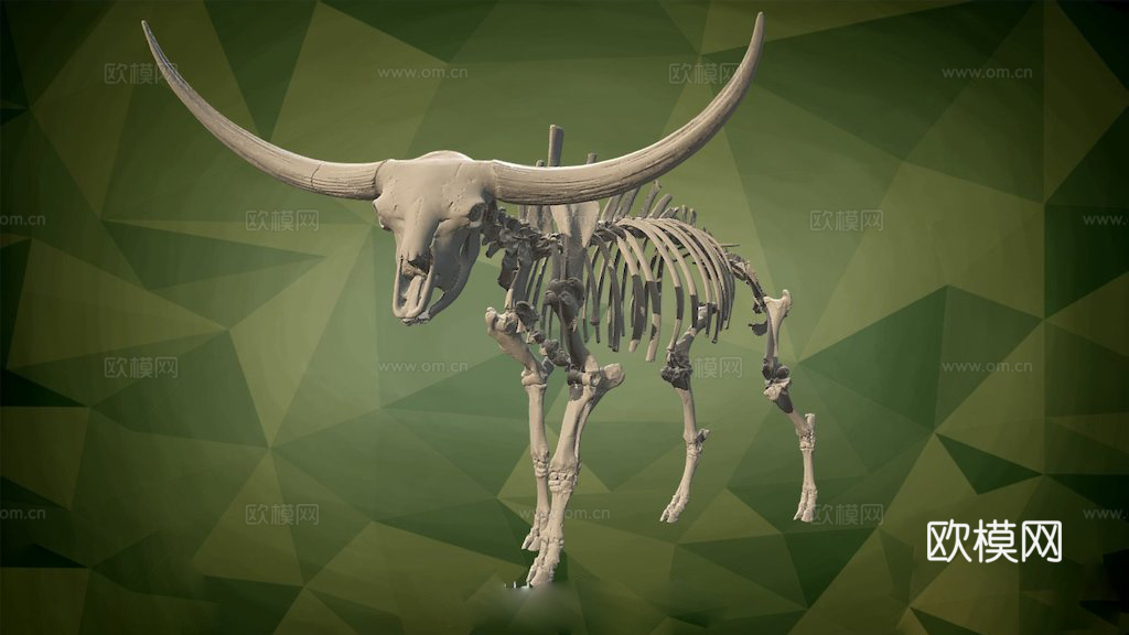 美洲野牛由BOR提供3d模型