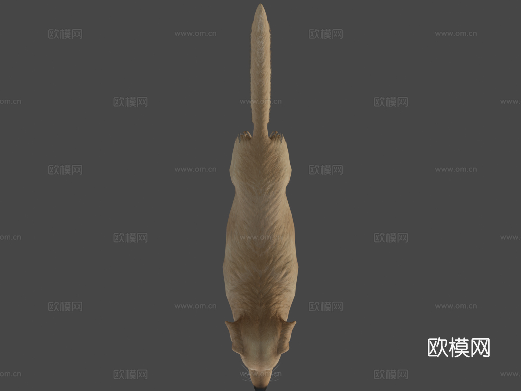 狗-金毛寻回犬v23d模型