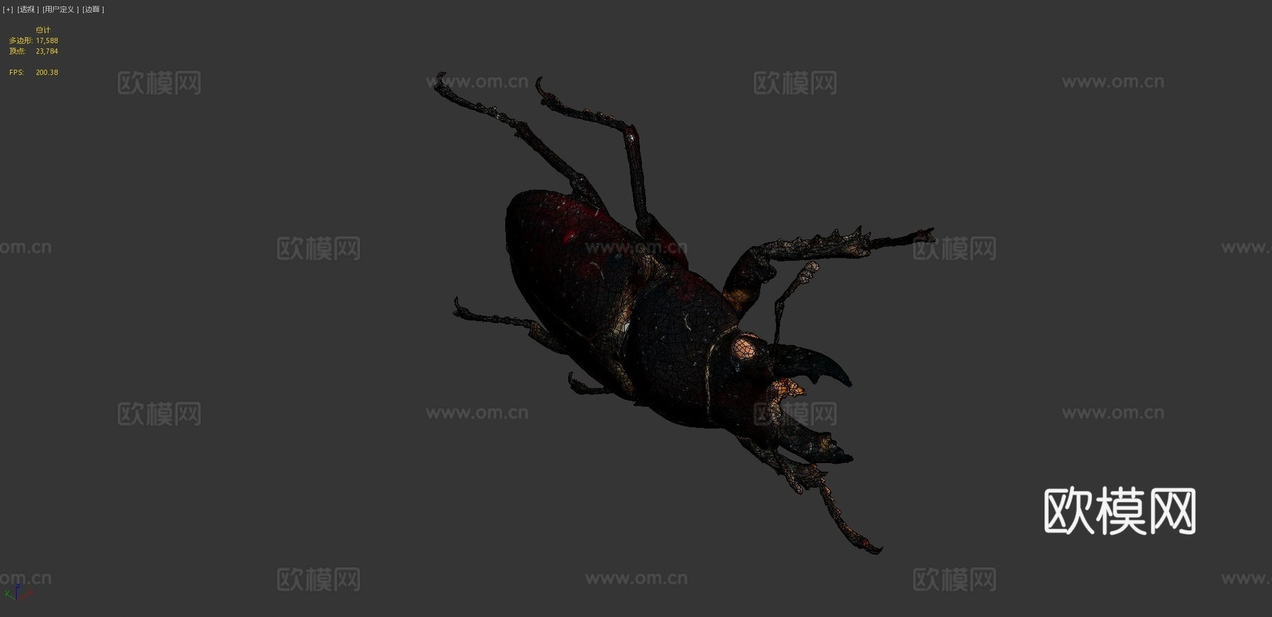锹形虫3d模型