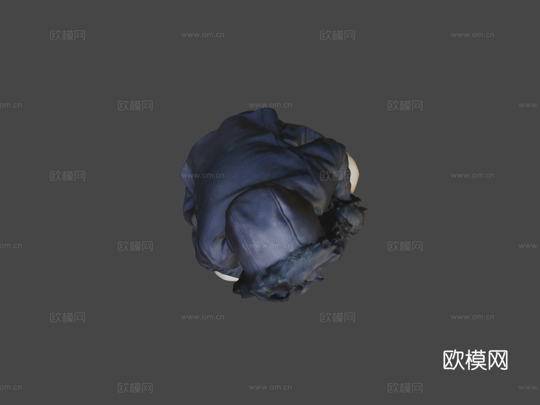 罂粟花舌3d模型