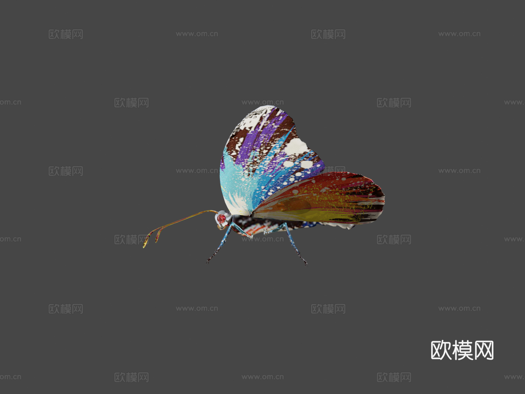 动画飞行蝴蝶循环v2.03d模型