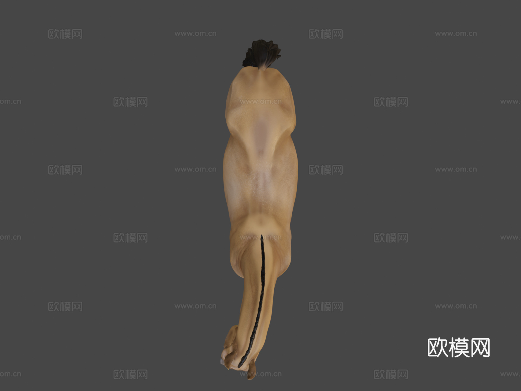 马-3D雕刻3d模型