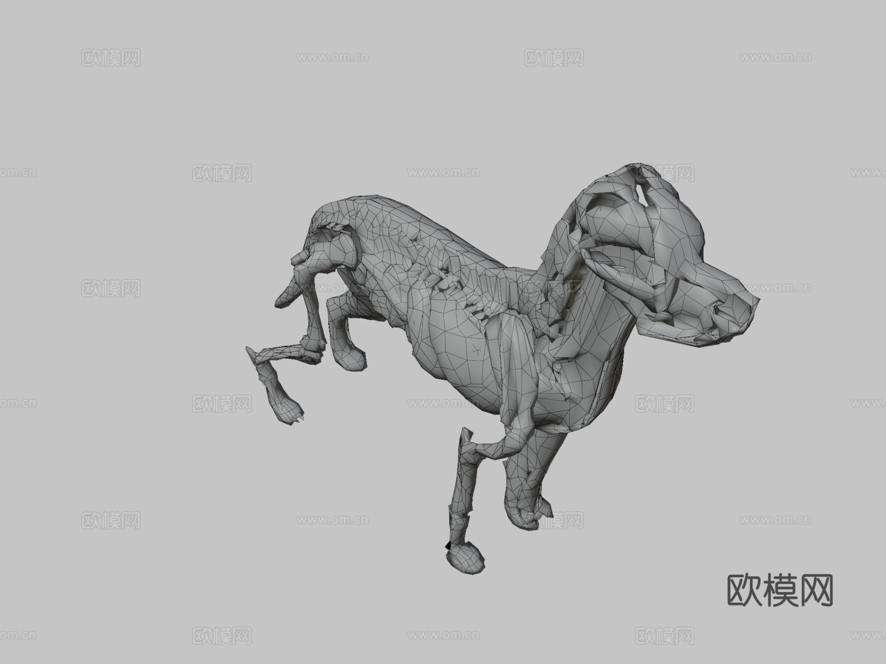 狗解剖13d模型3d模型
