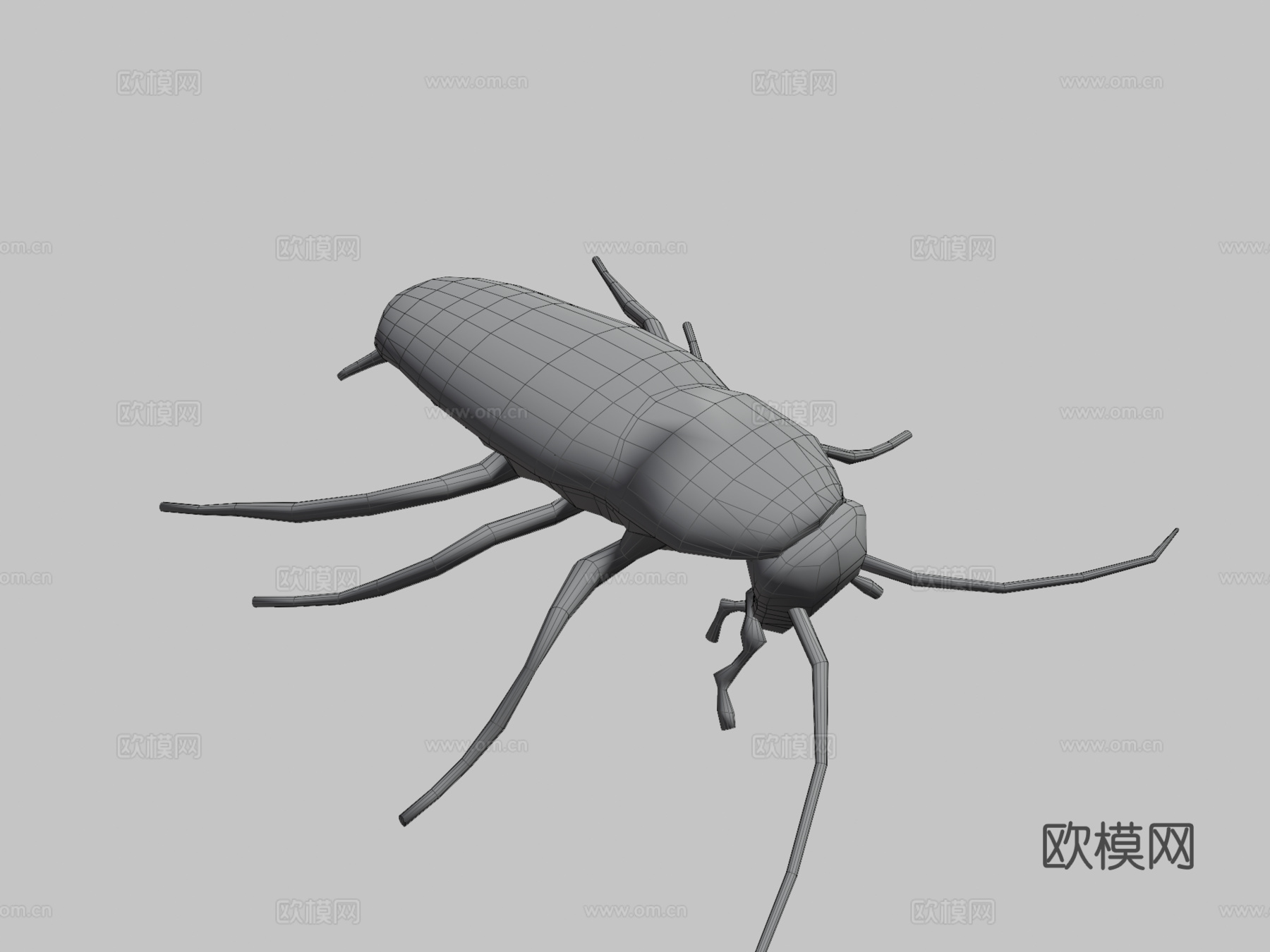 美洲蟑螂3d模型