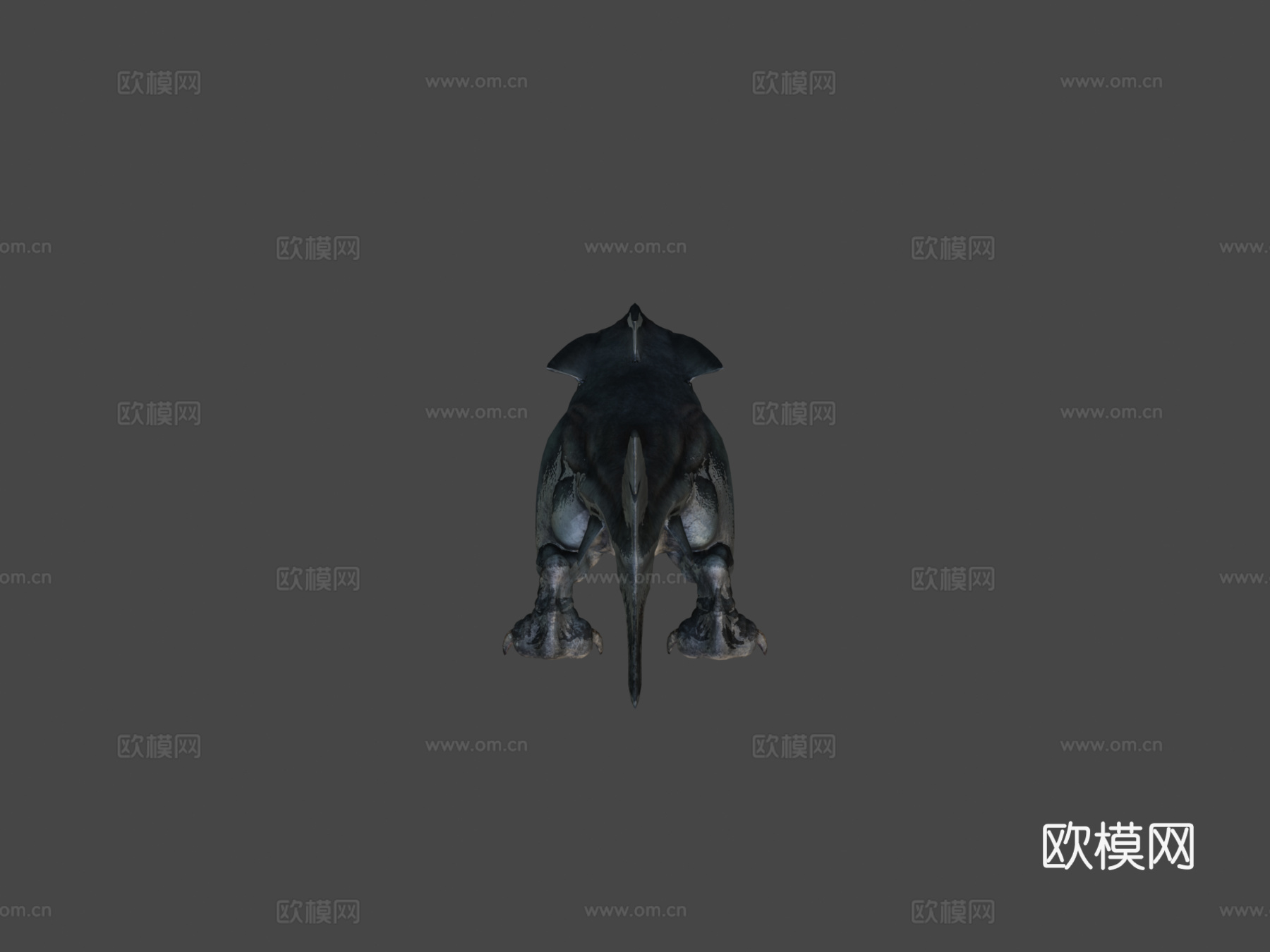 巨齿鲨雷克斯(制作中#3)动画3d模型