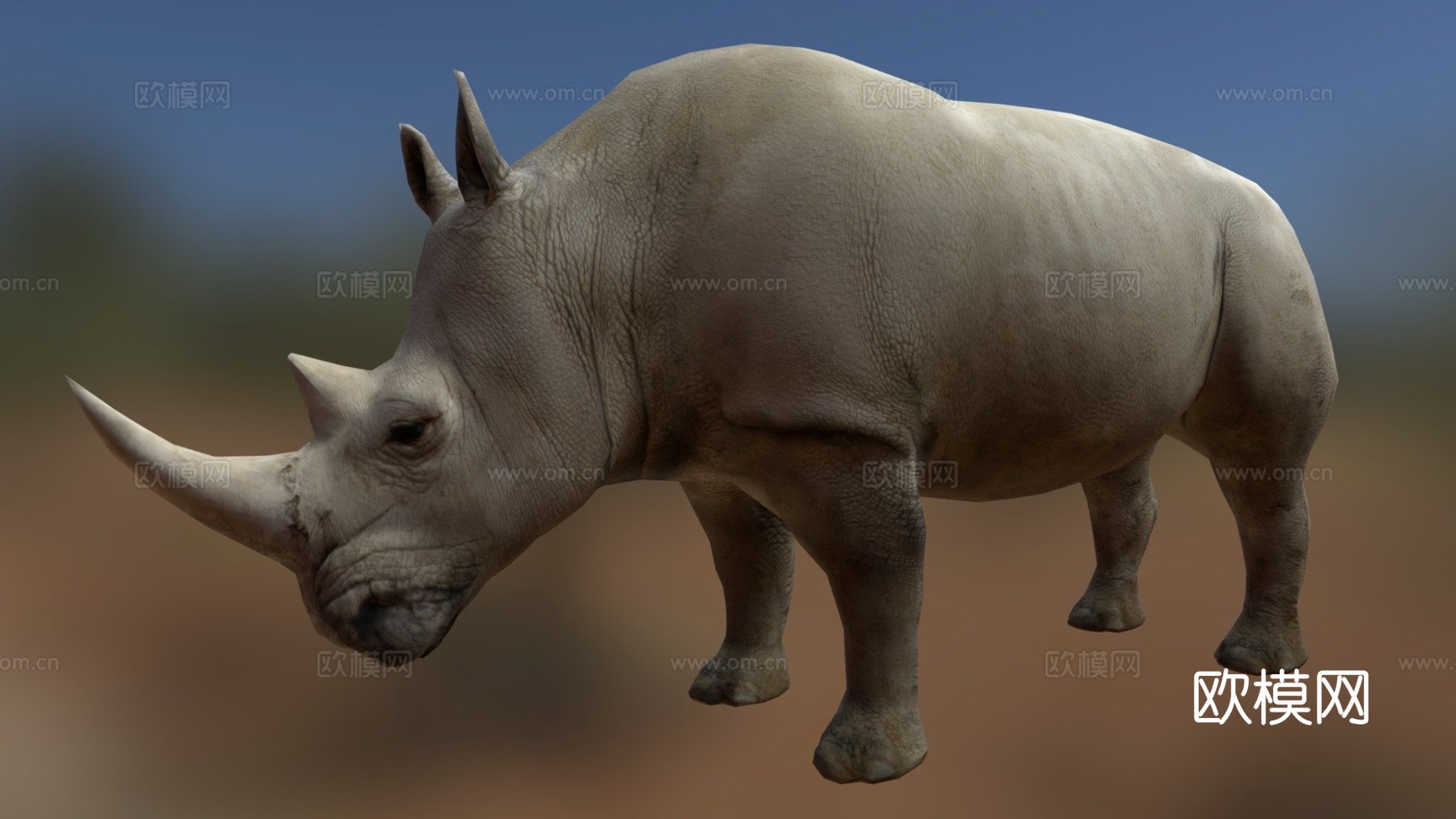 犀牛3d模型