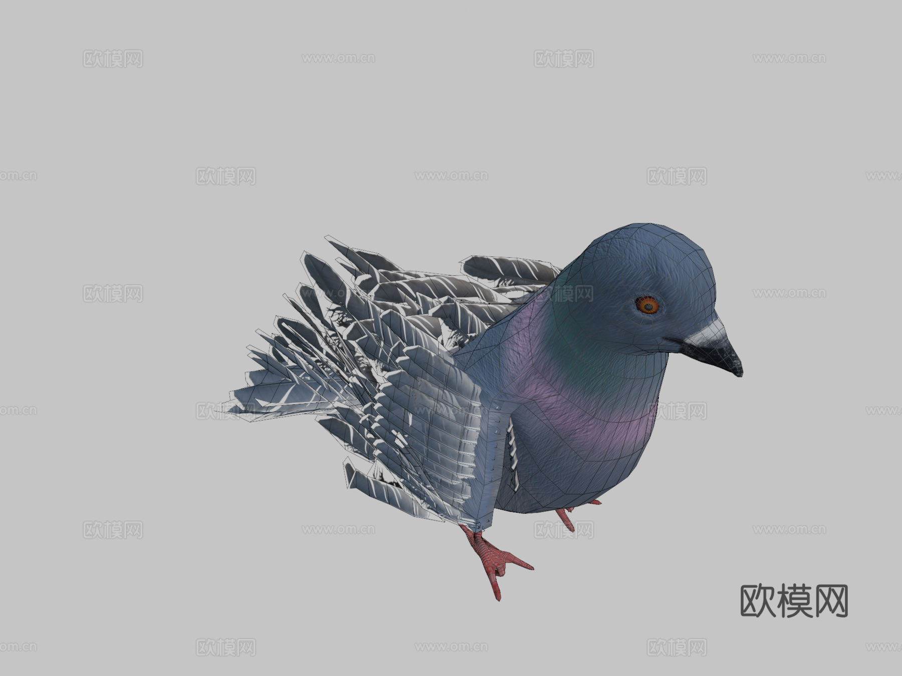 鸽子3d模型