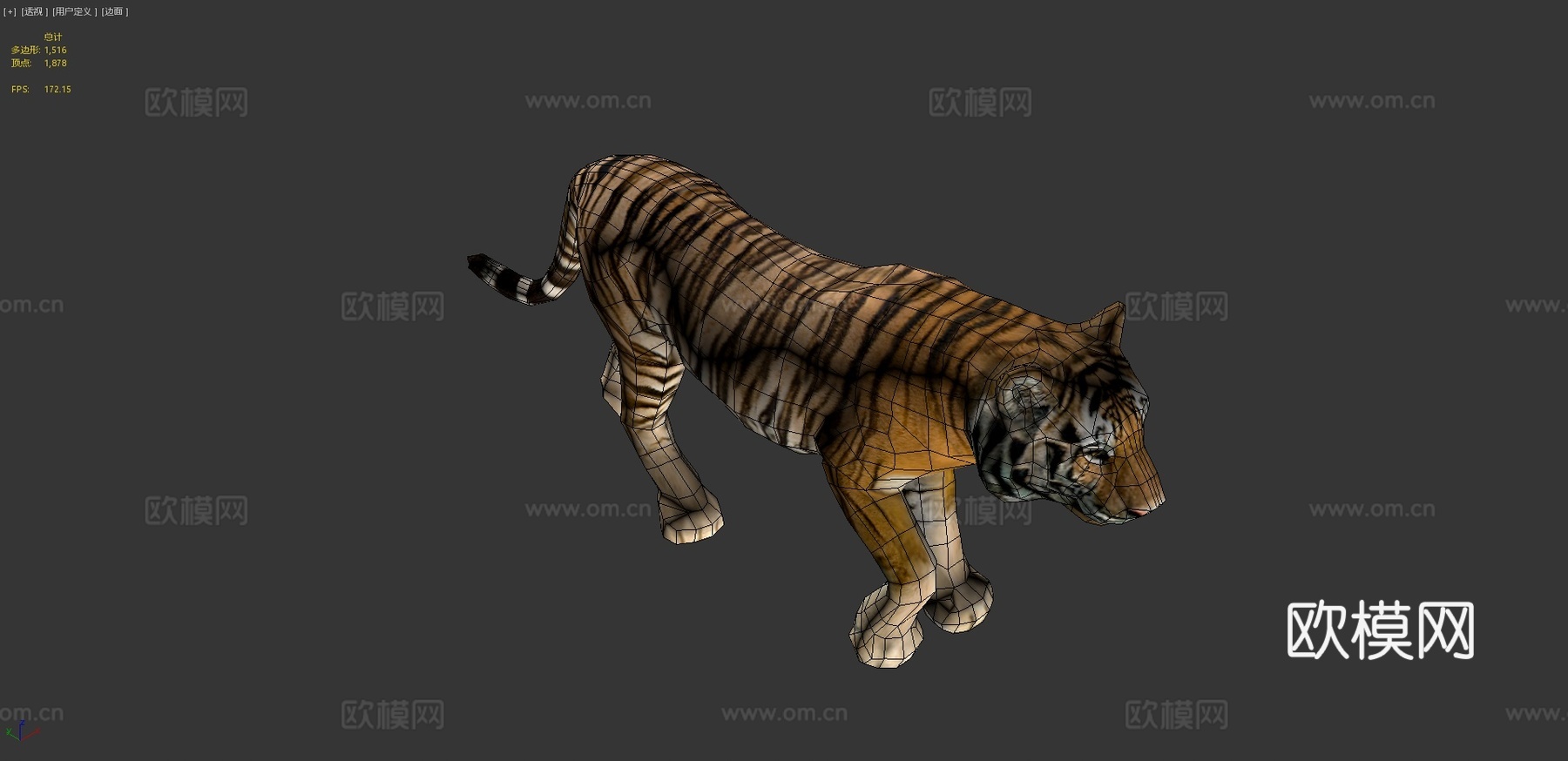 老虎3d模型