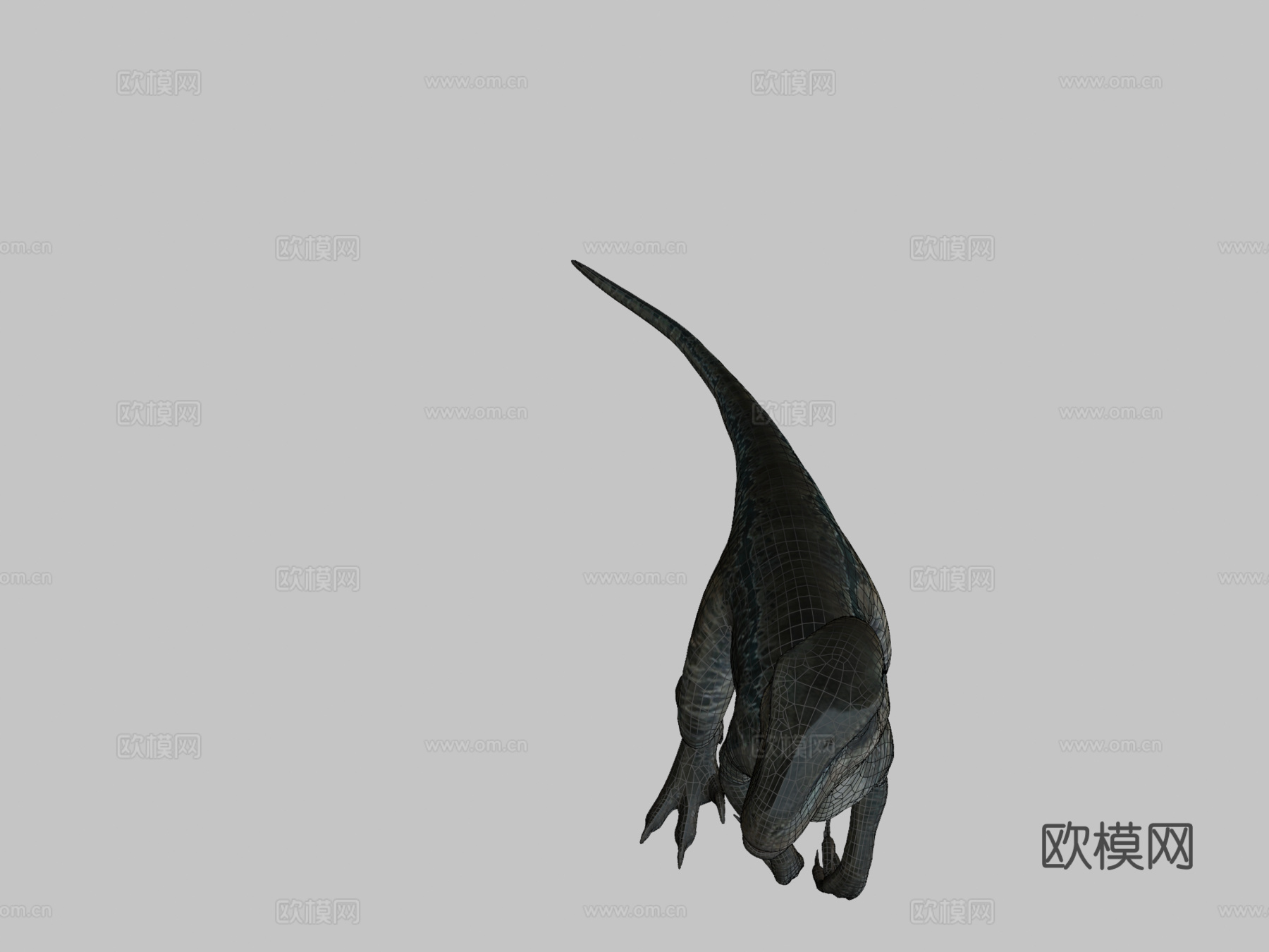 JW活体蓝色3d模型