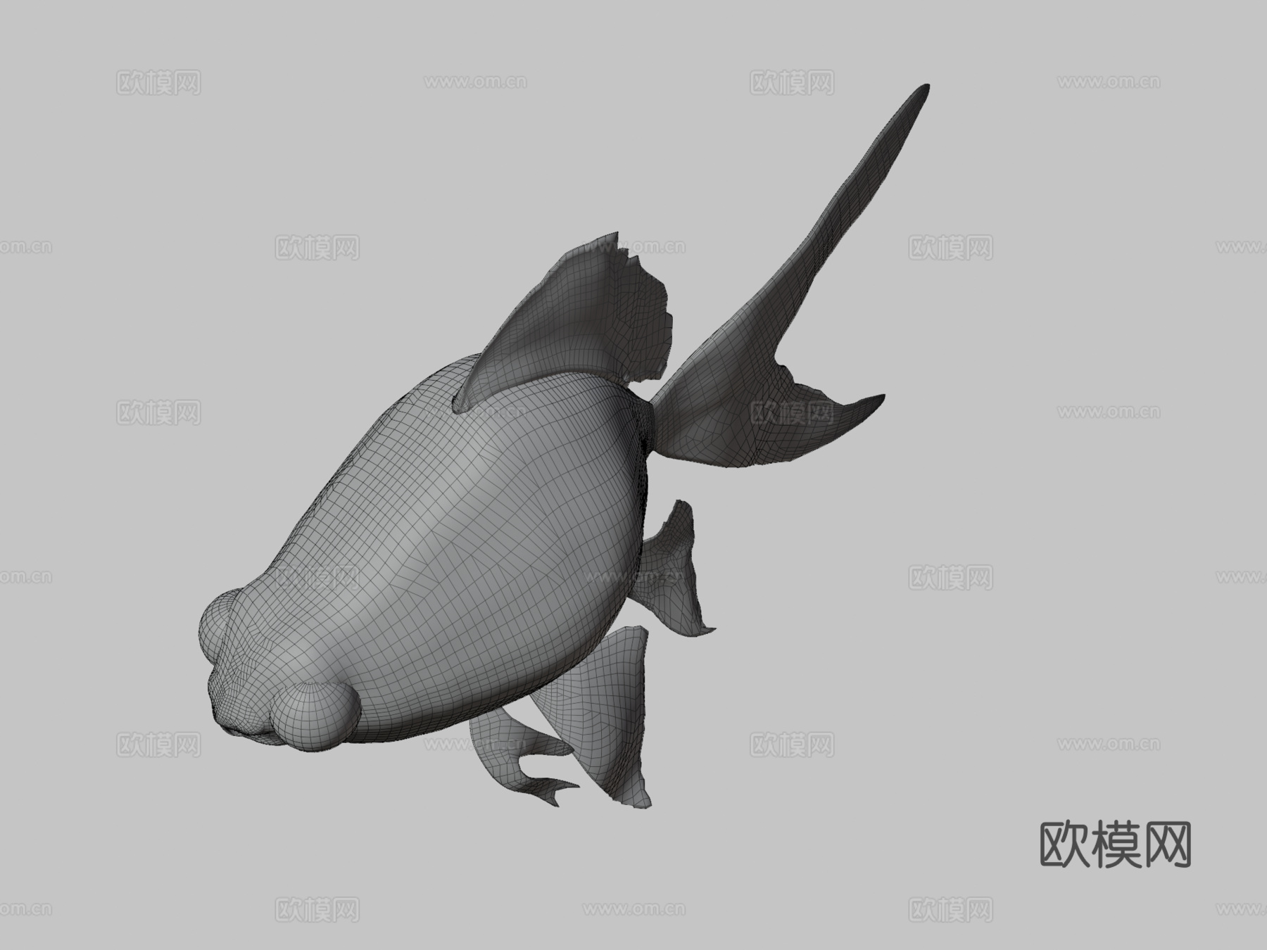 金鱼3d模型