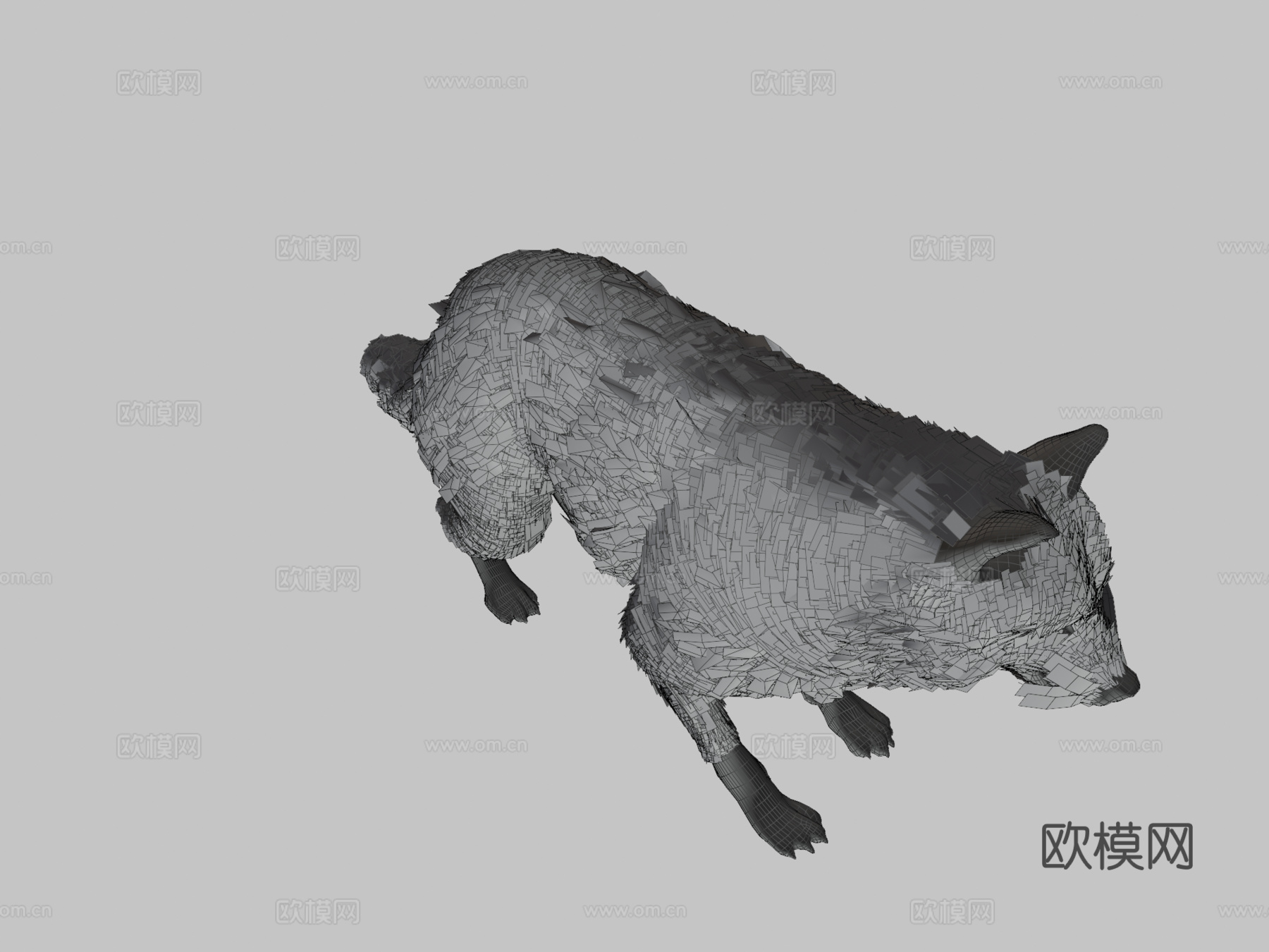 毛茸茸的狼3d模型