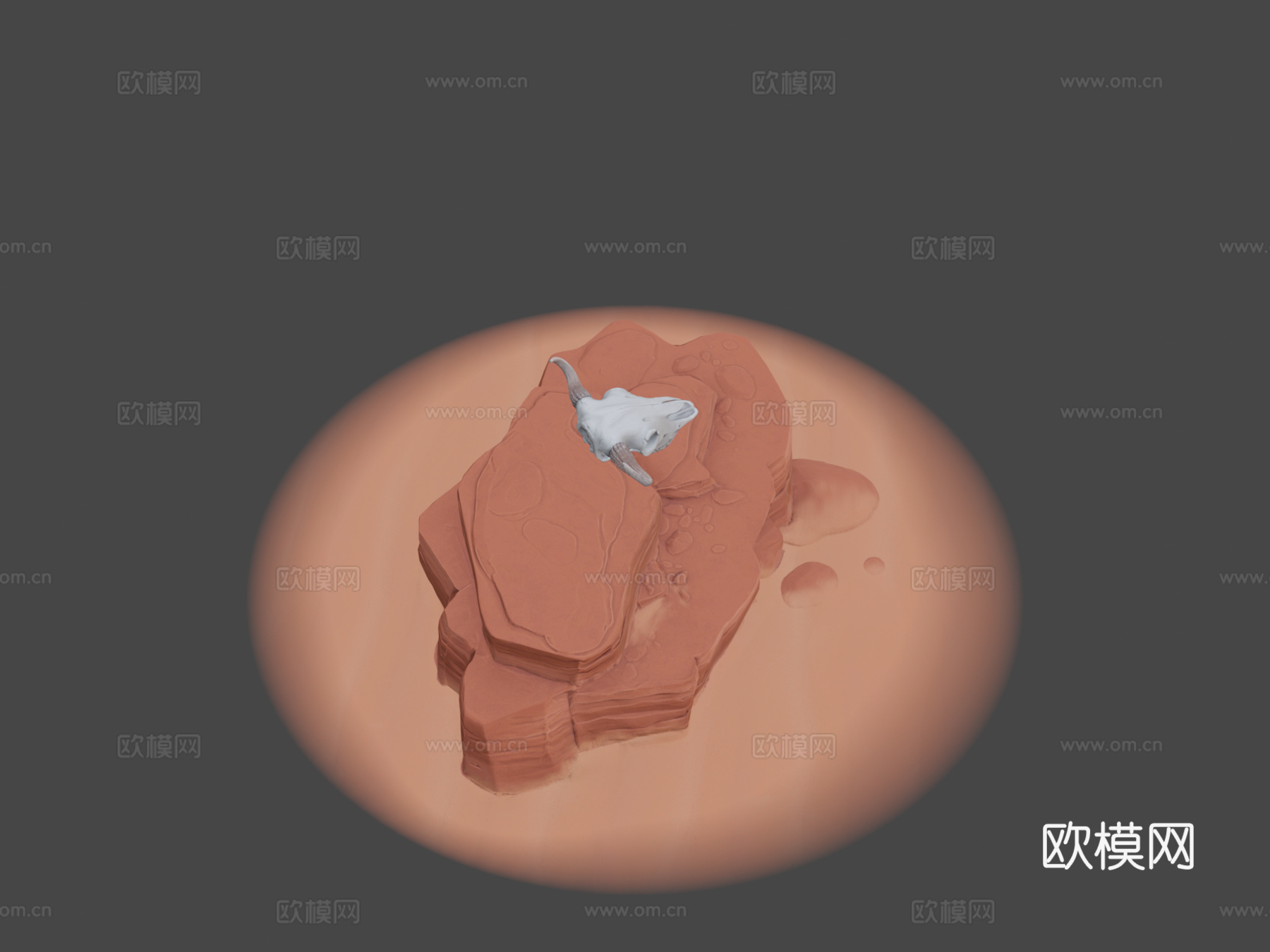 水牛头骨立体模型3d模型