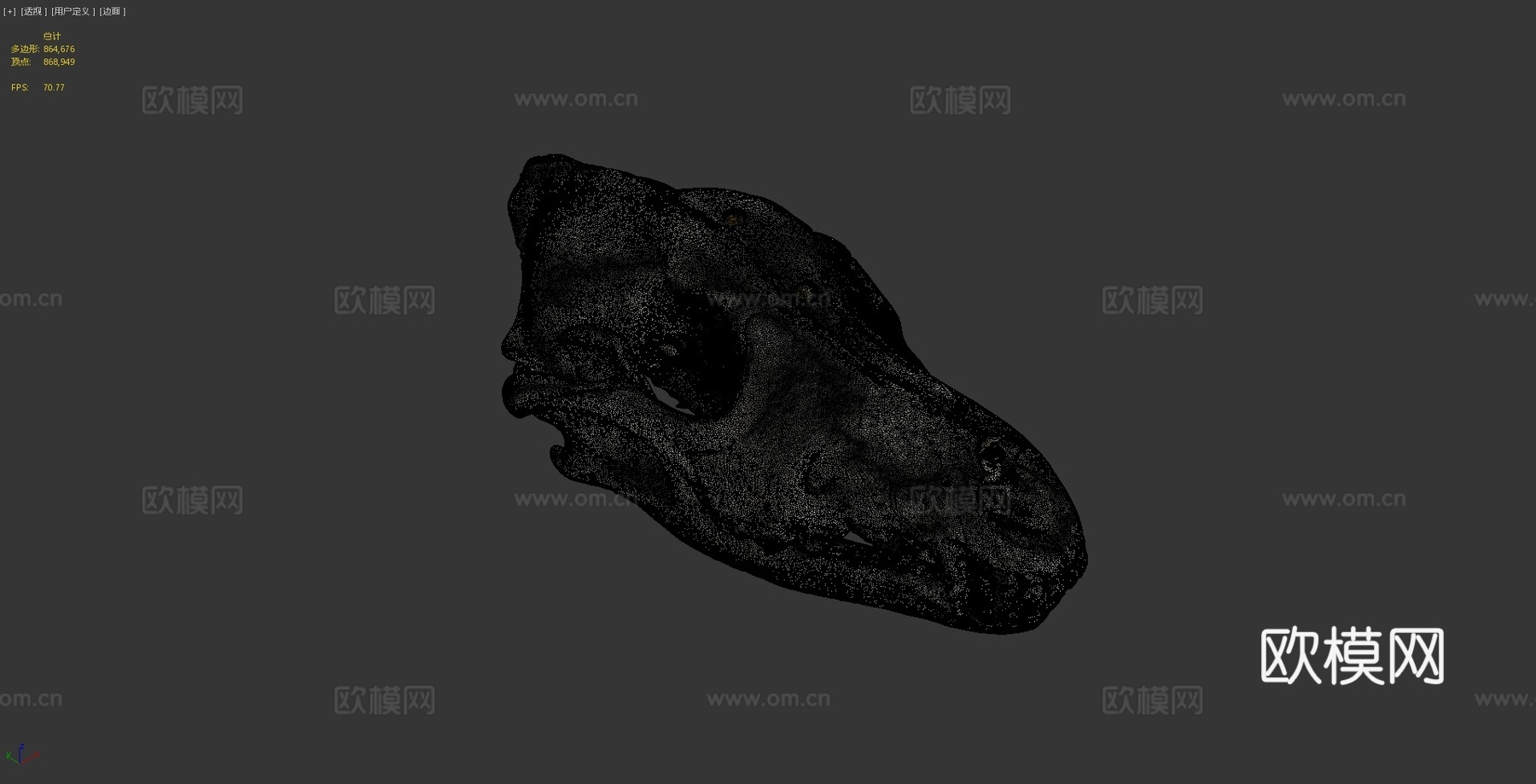 狼头骨3d模型
