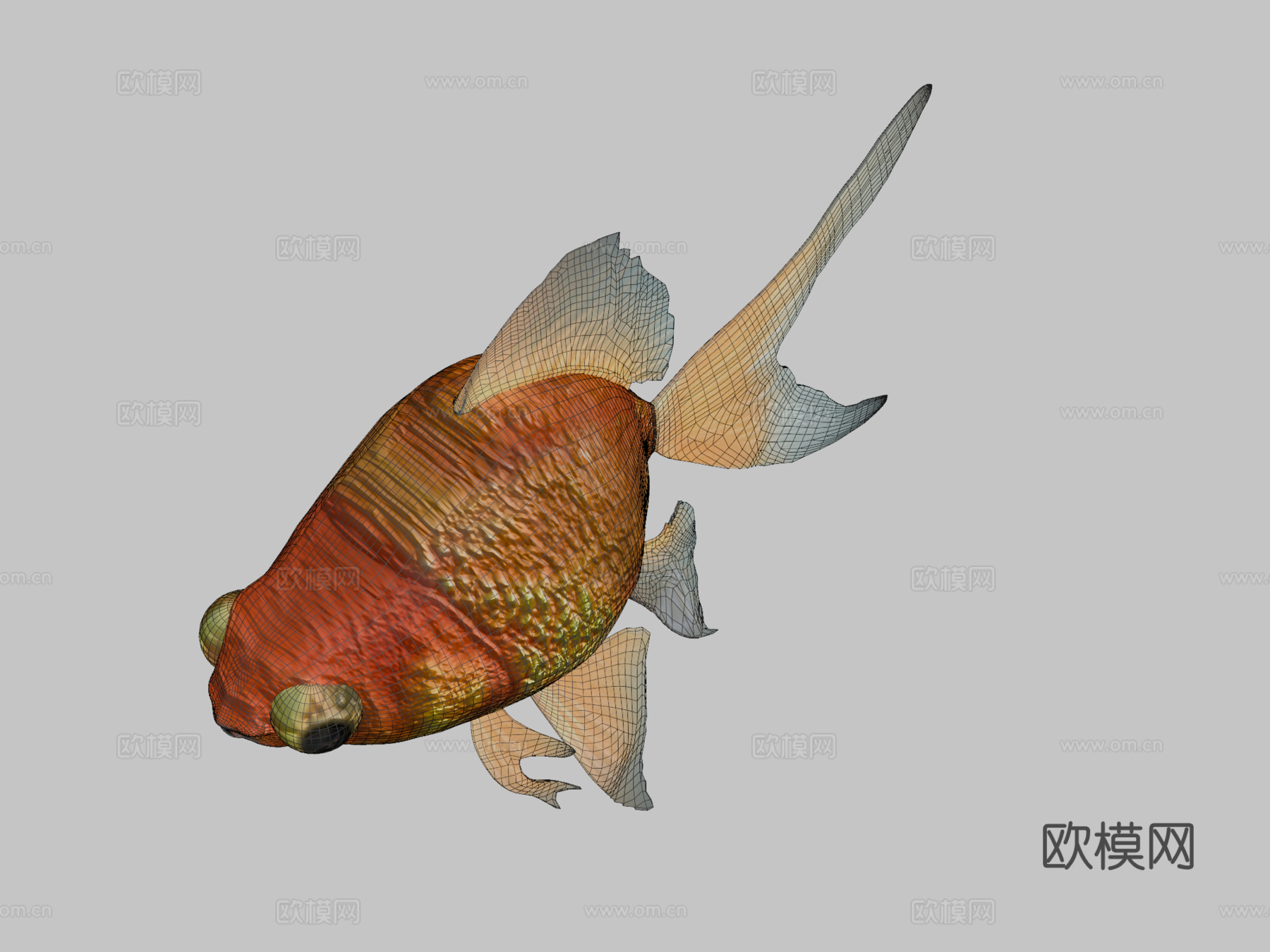 金鱼3d模型