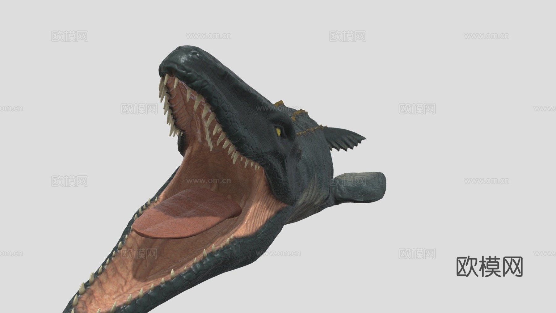 沧龙3d模型