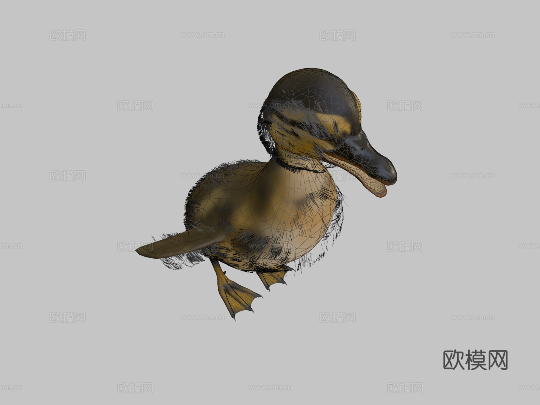 小鸭鸭3d模型