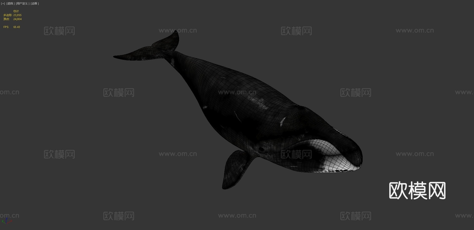 格陵兰鲸(北极露脊鲸)3d模型
