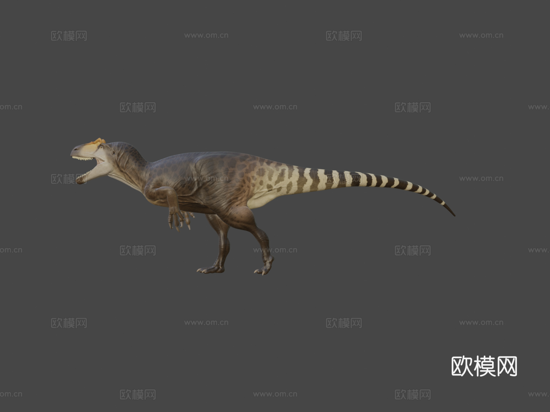 脆弱异特龙3d模型