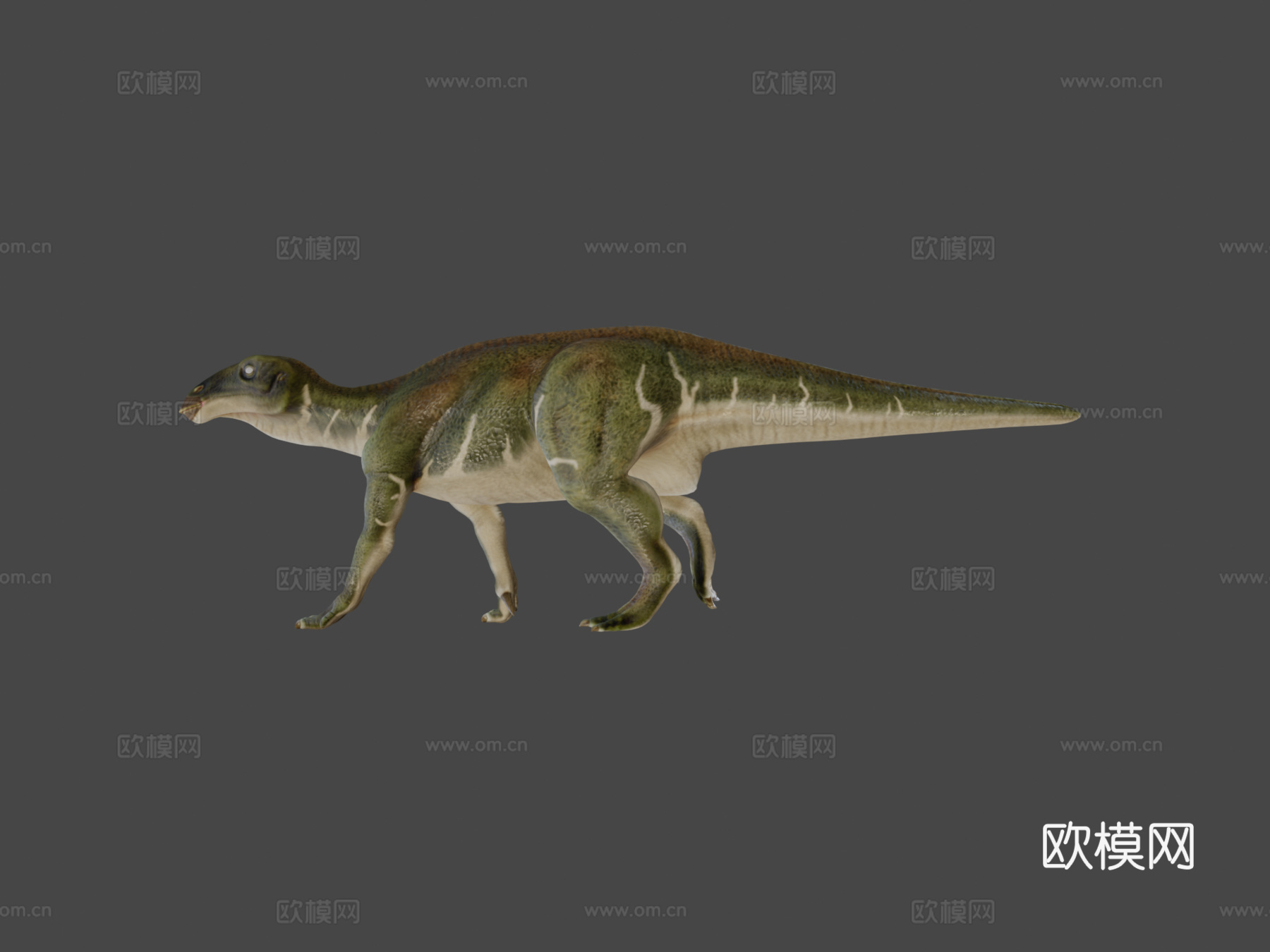 贝尔尼萨特禽龙3d模型