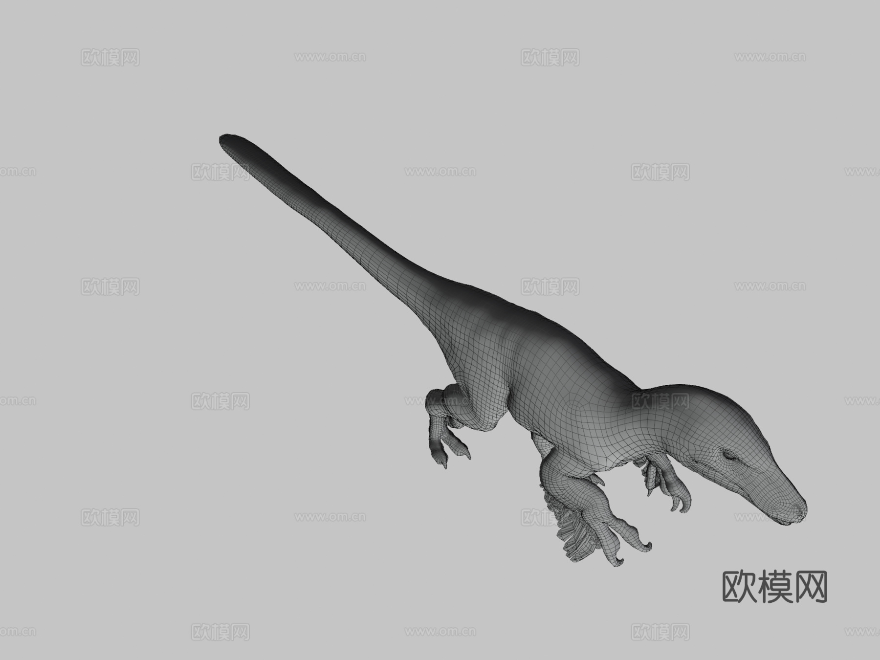 犹他盗龙3d模型