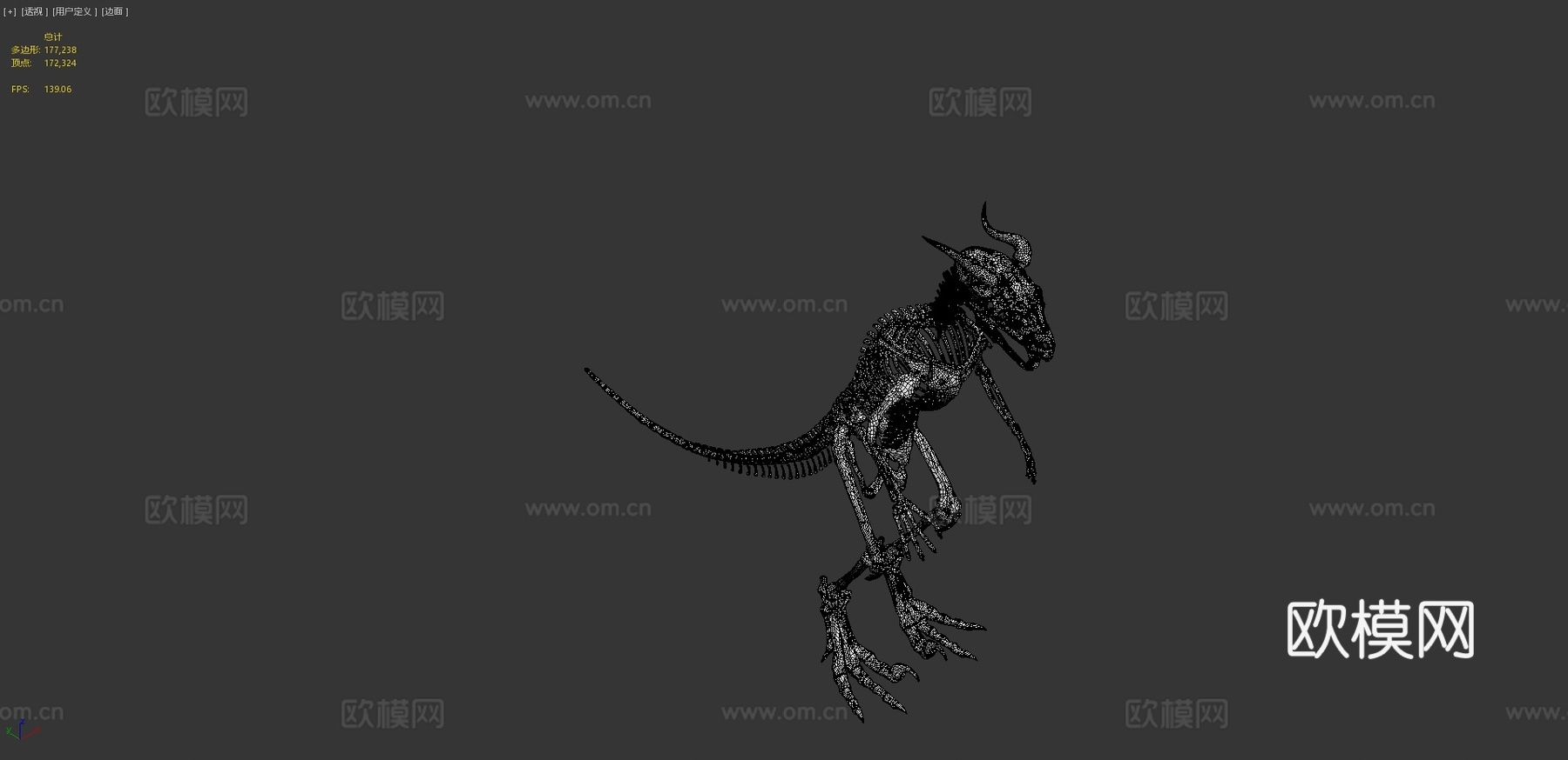 希扎斯里解剖参考-骨骼3d模型
