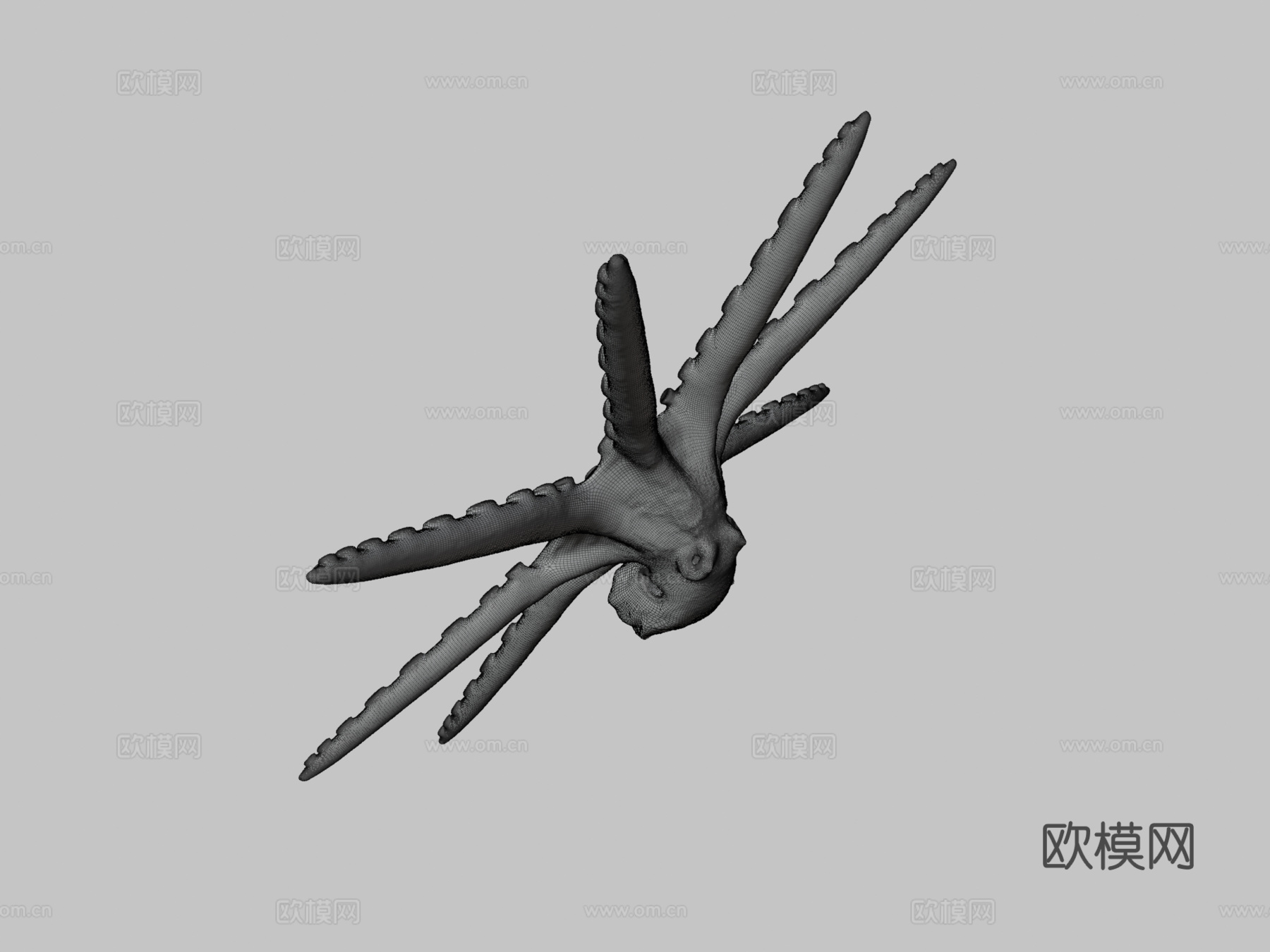 章鱼3d模型