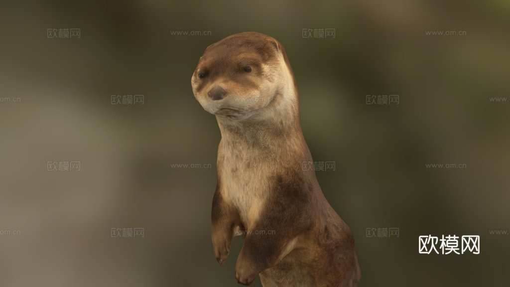 河獭(带声音)(约翰·菲诺(半人马座))3d模型