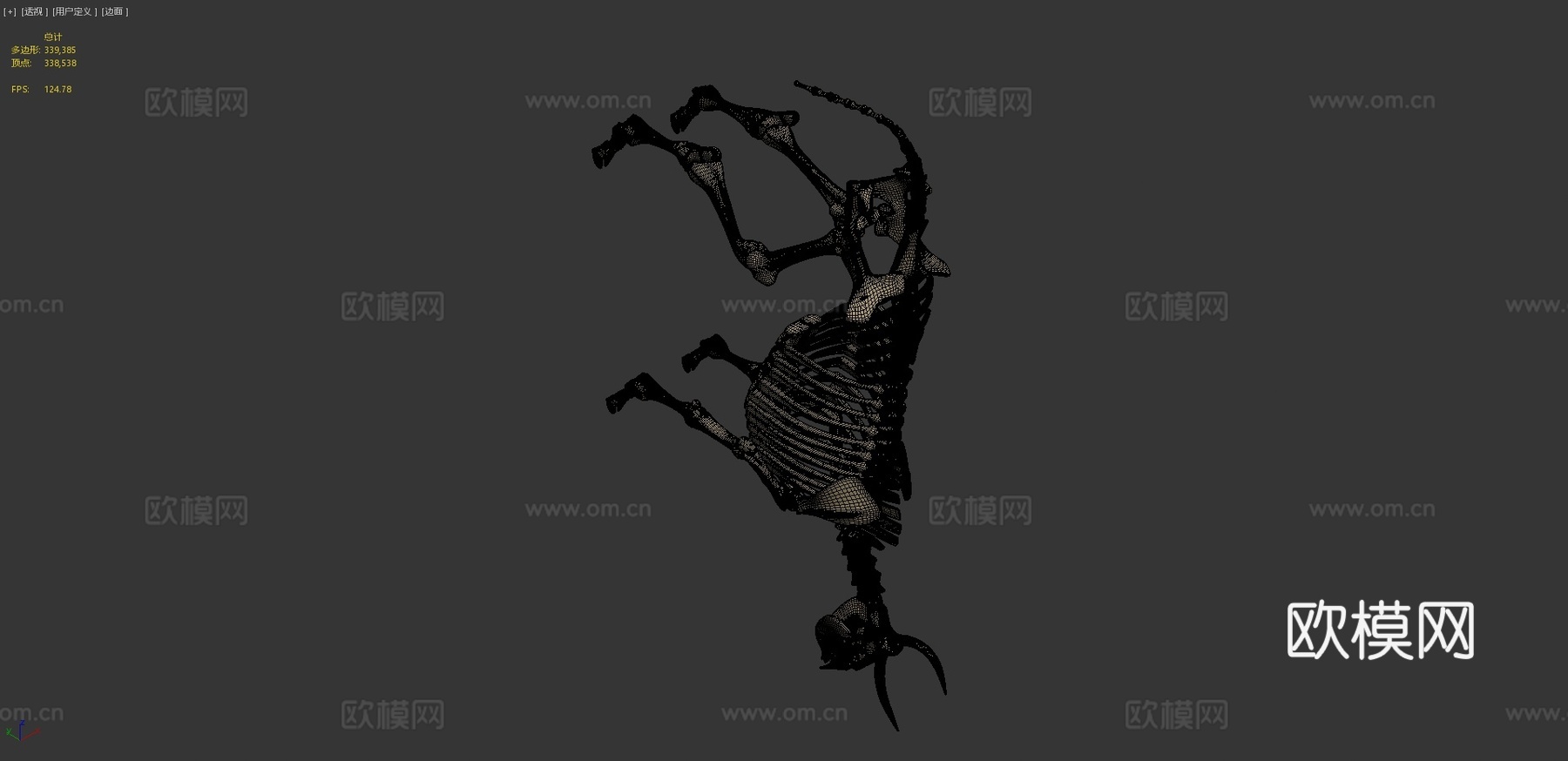牛骨架3d模型