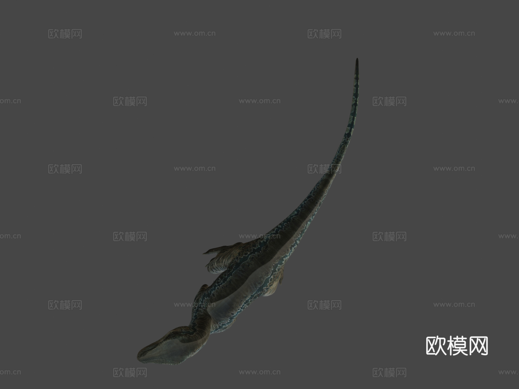 JW活体蓝色3d模型