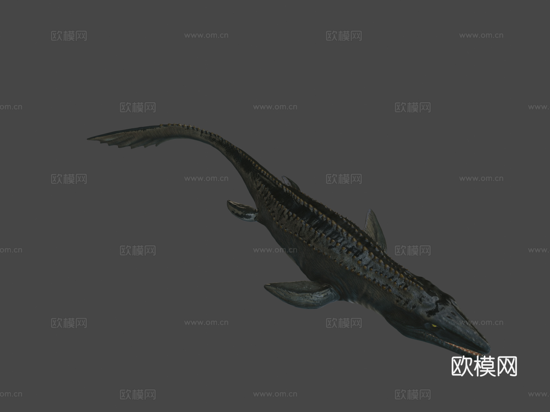 沧龙3d模型