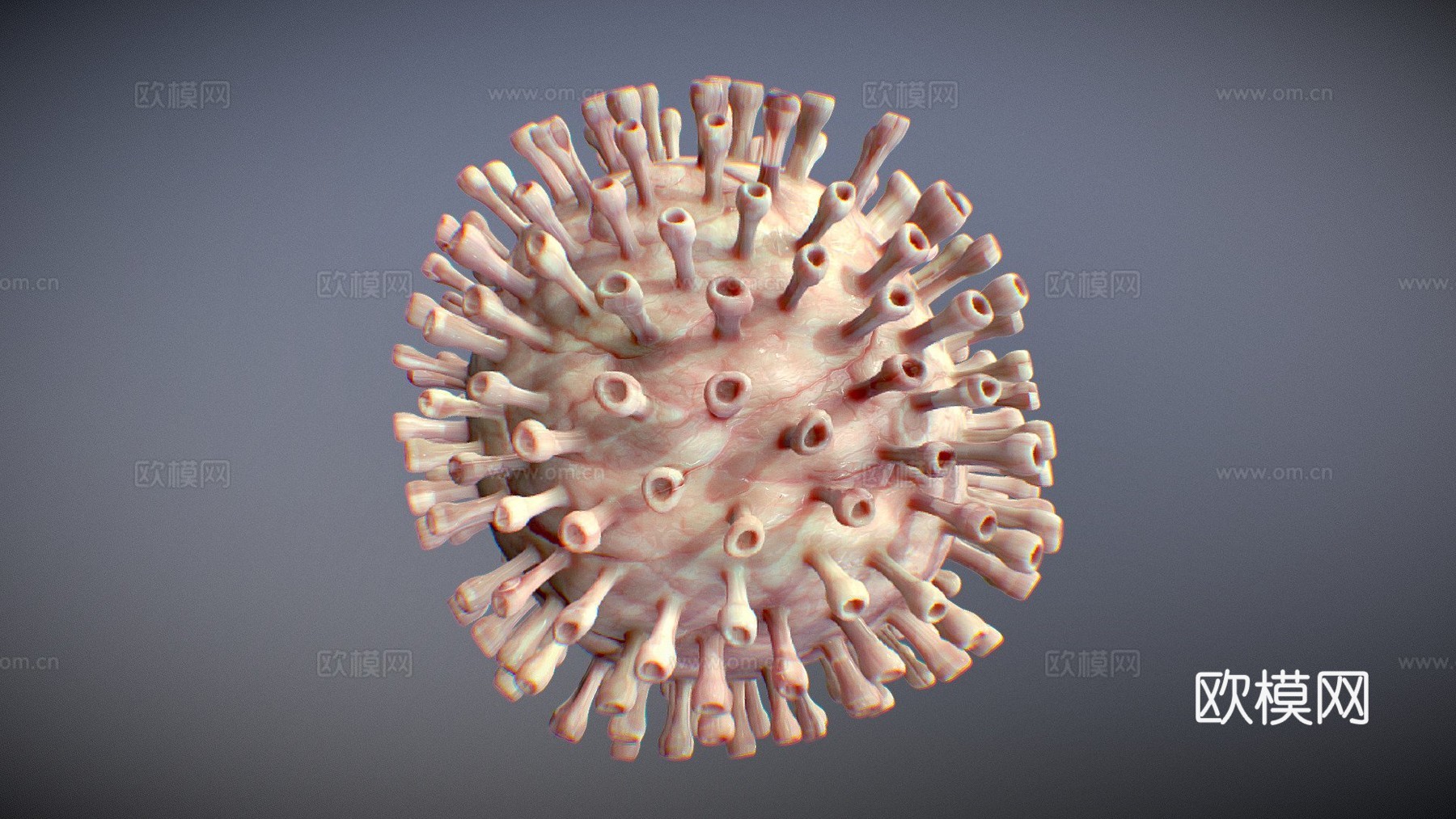 病毒5C动画3d模型
