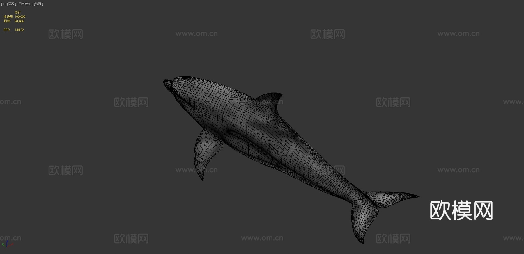 宽吻海豚3d模型