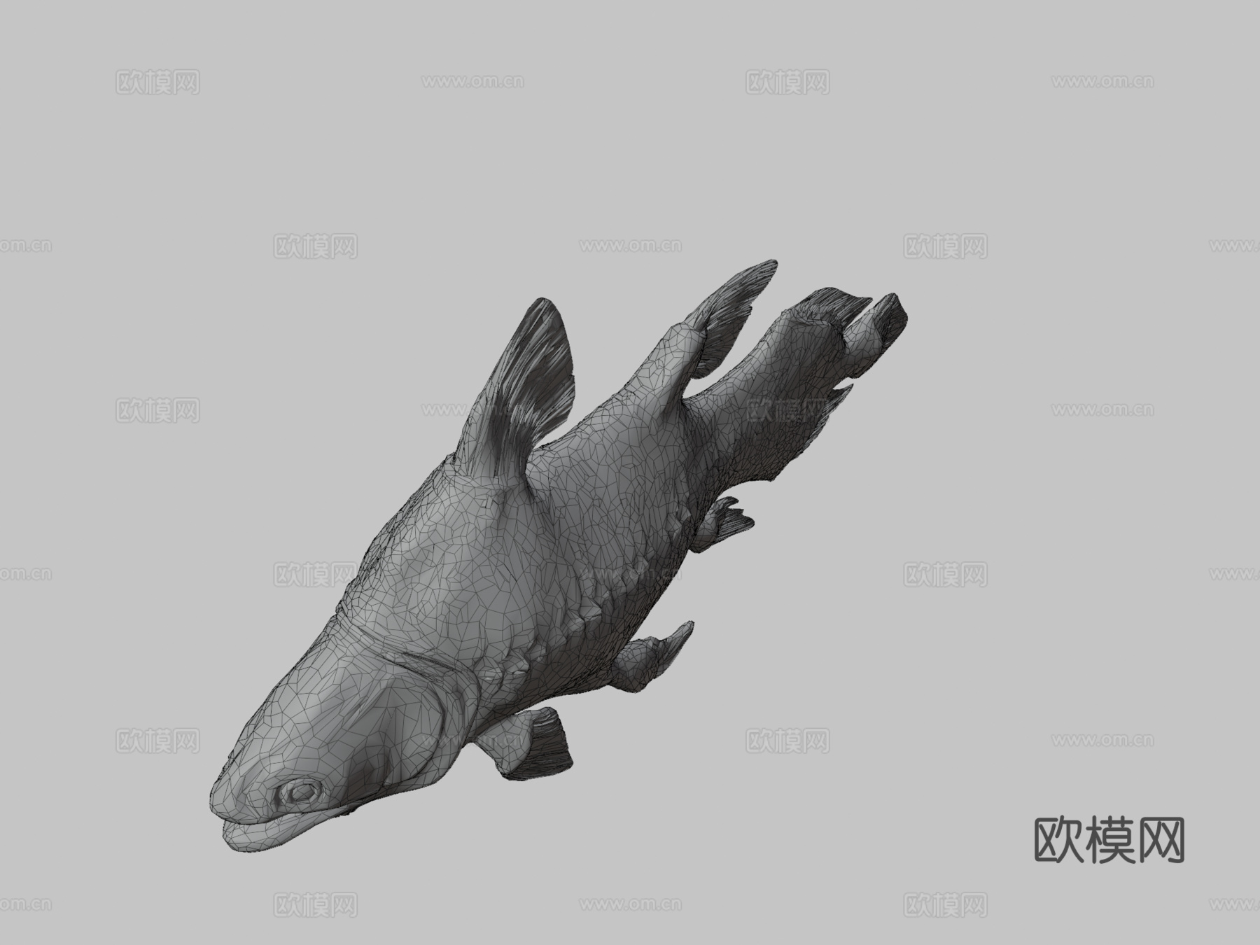 莫索尼鱼3d模型