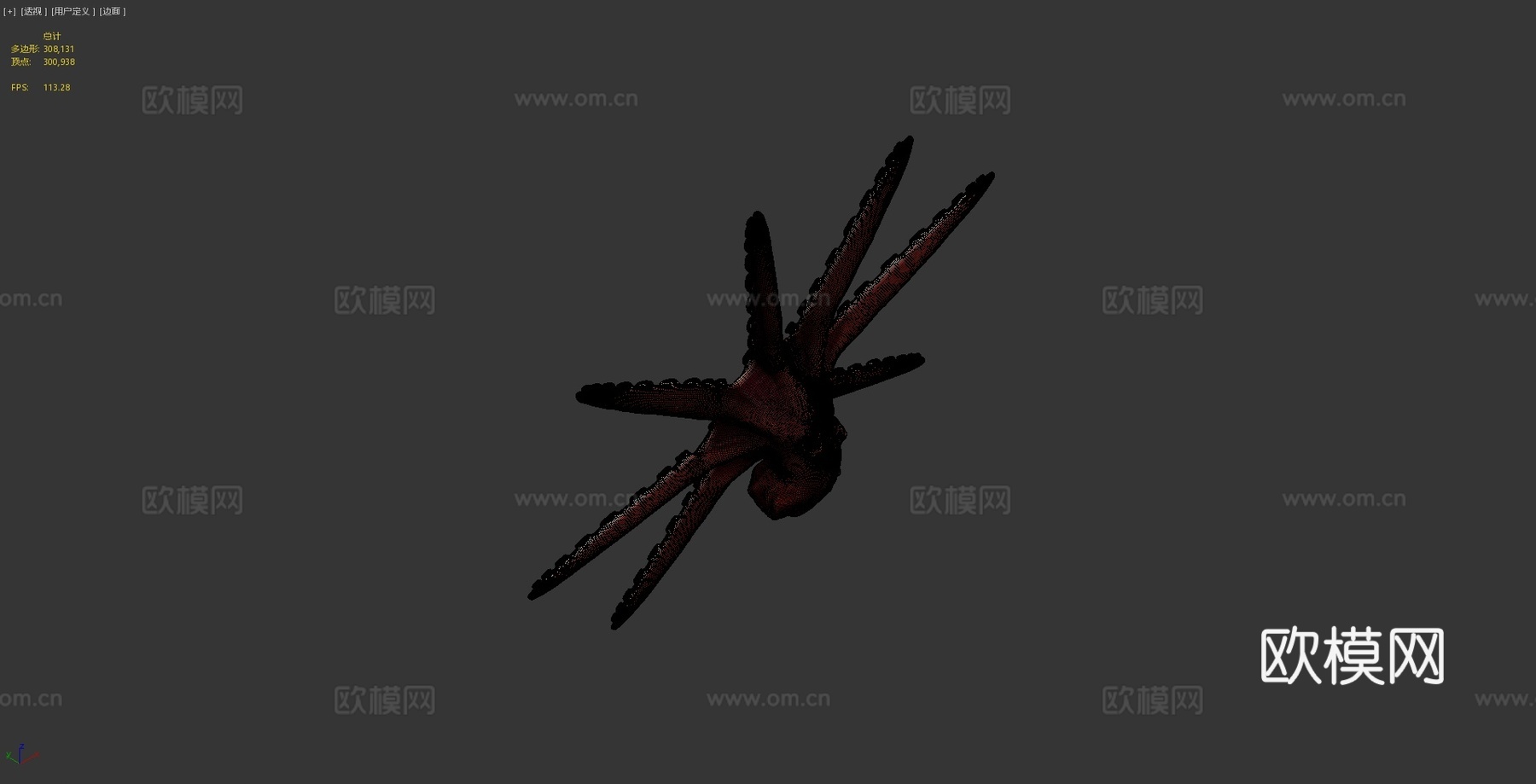 章鱼3d模型