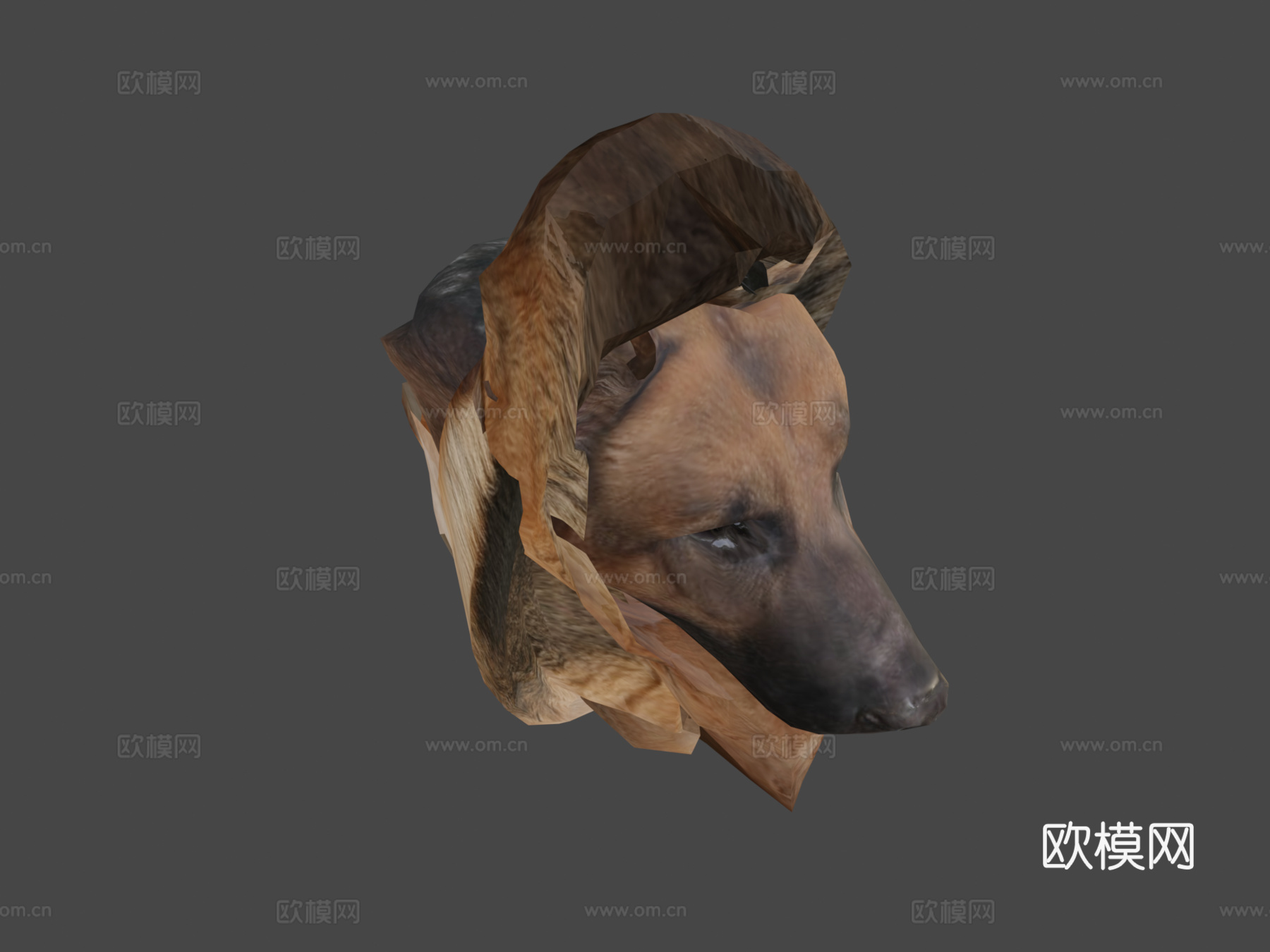动物界-德国牧羊犬3d模型