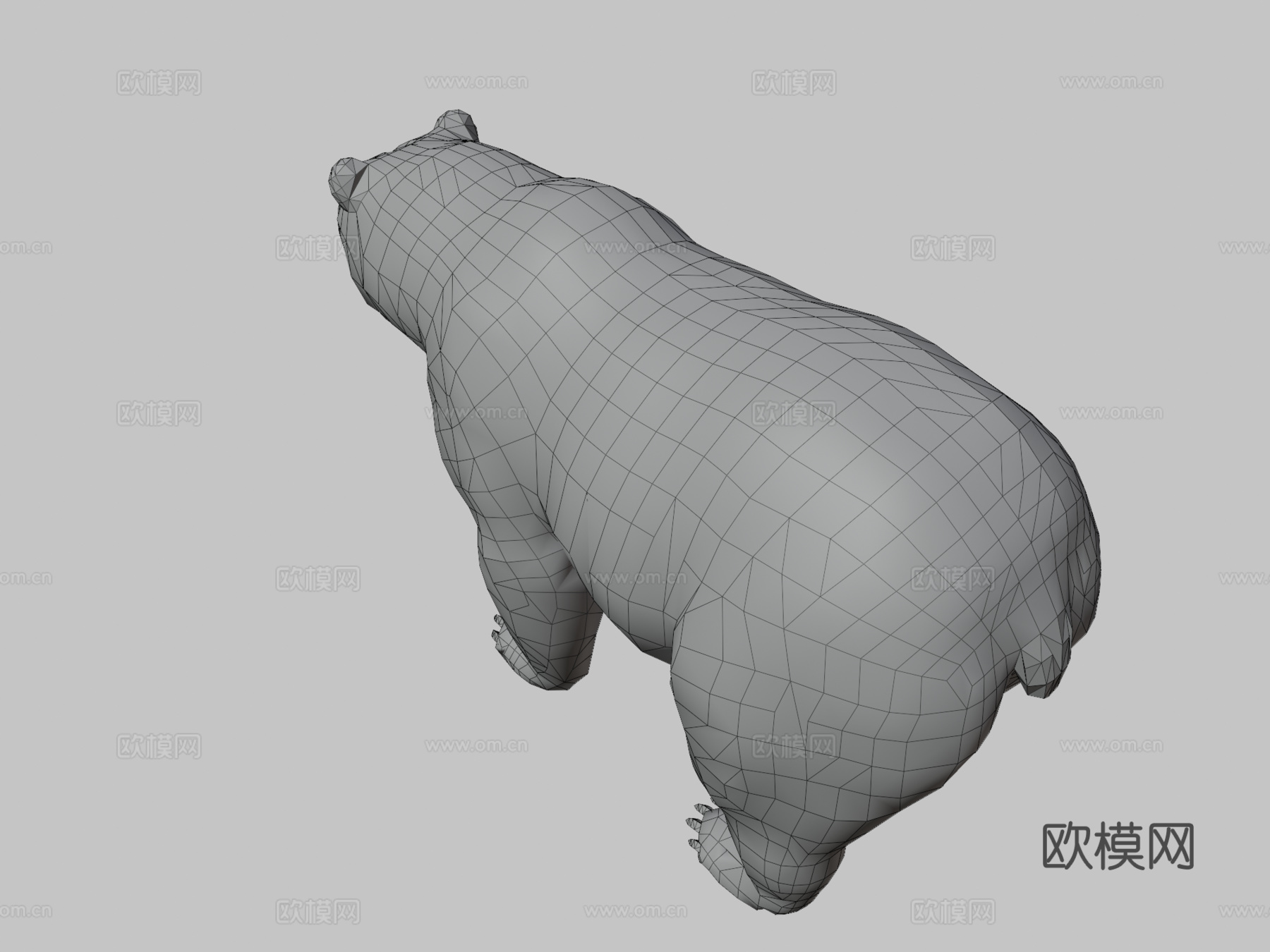 灰熊写实3D模型3d模型